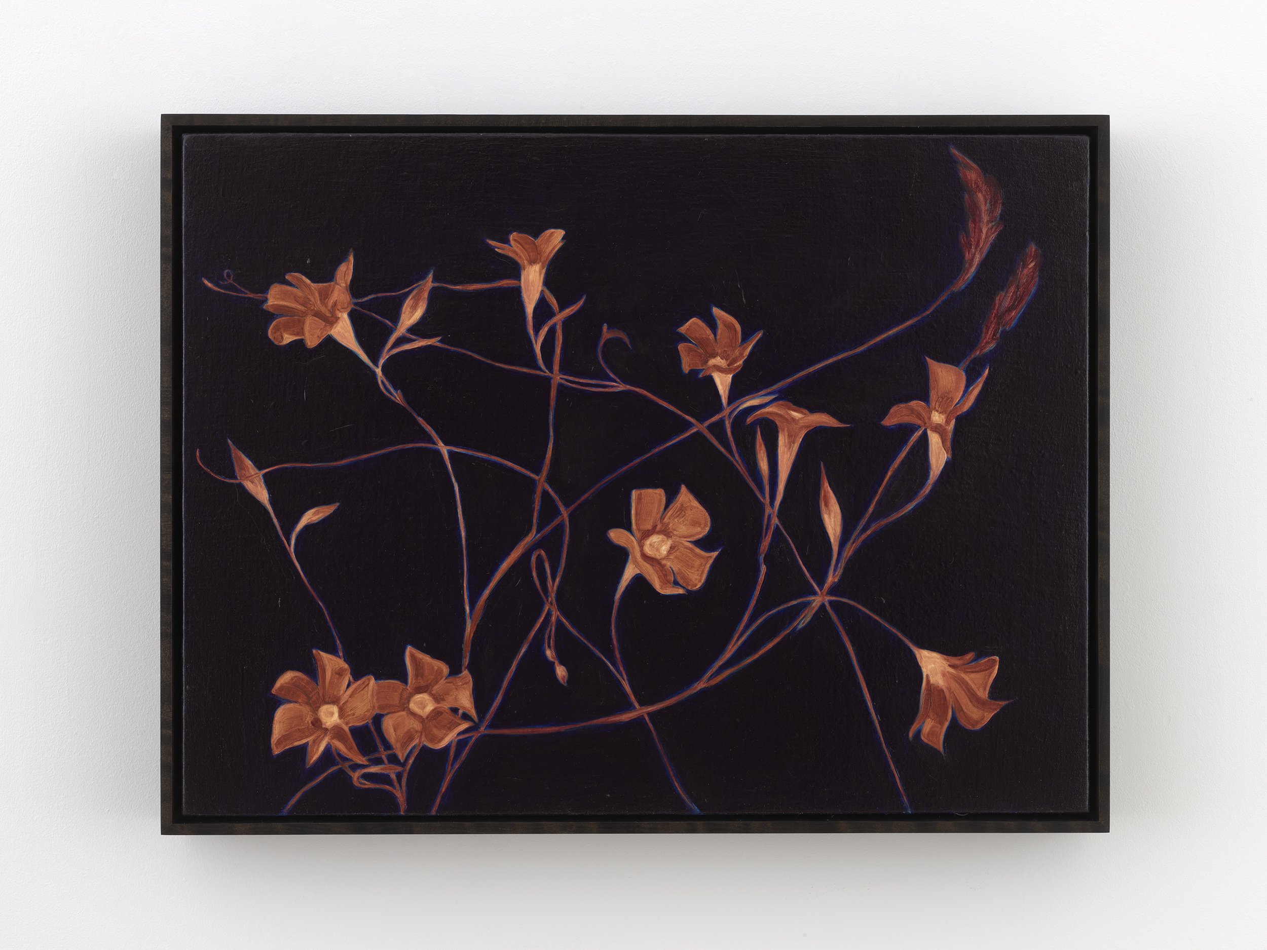 nights, 99, outside S&T’s wedding, 2026, oil on linen over panel, 18 x 24 inches
