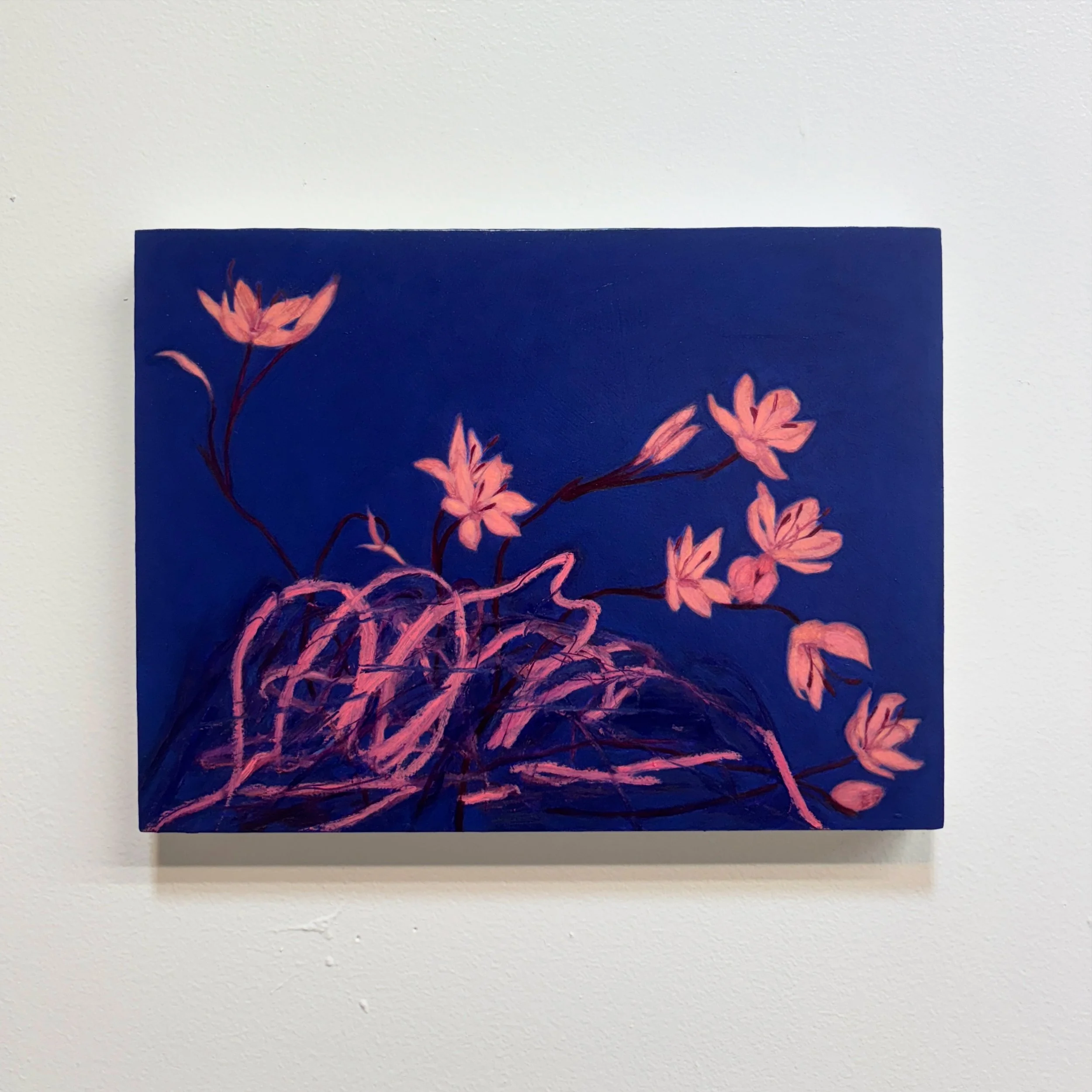 nights, Galway 1, 2024, oil, oil pastel and pencil on panel, 9 x 12 inches