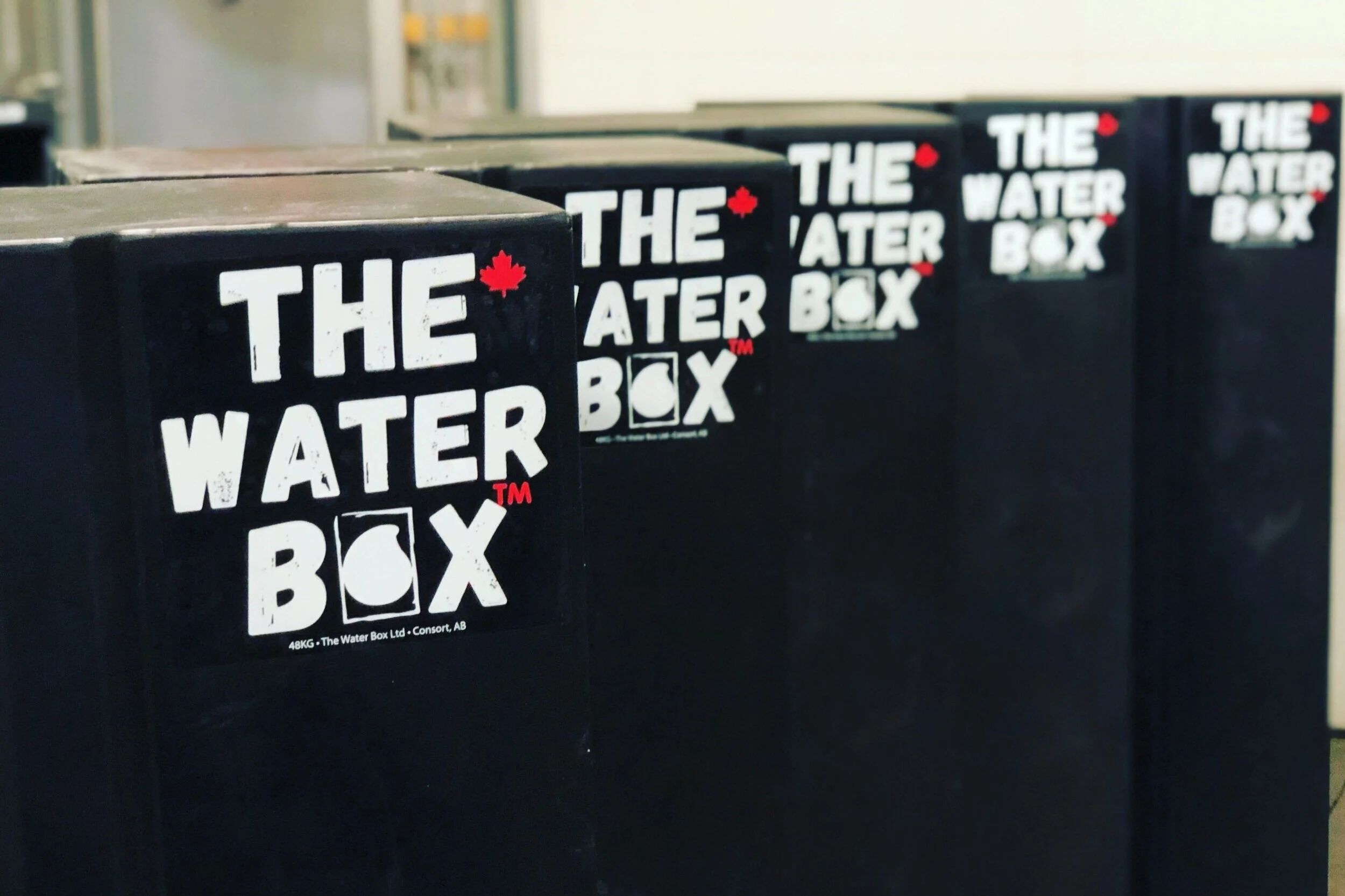 The Water Box Cow Powered