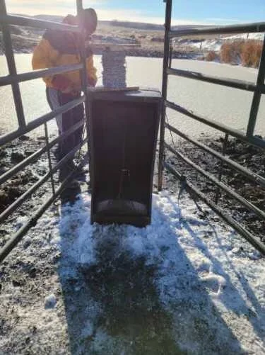The Water Box™ - Cow Powered