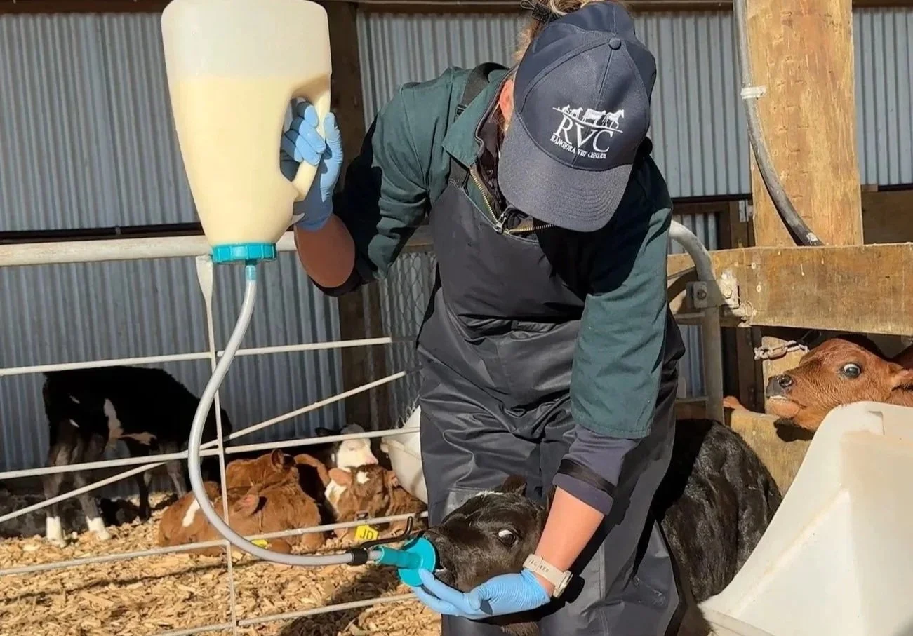 Farm Animal Health — Rangiora Vet Centre