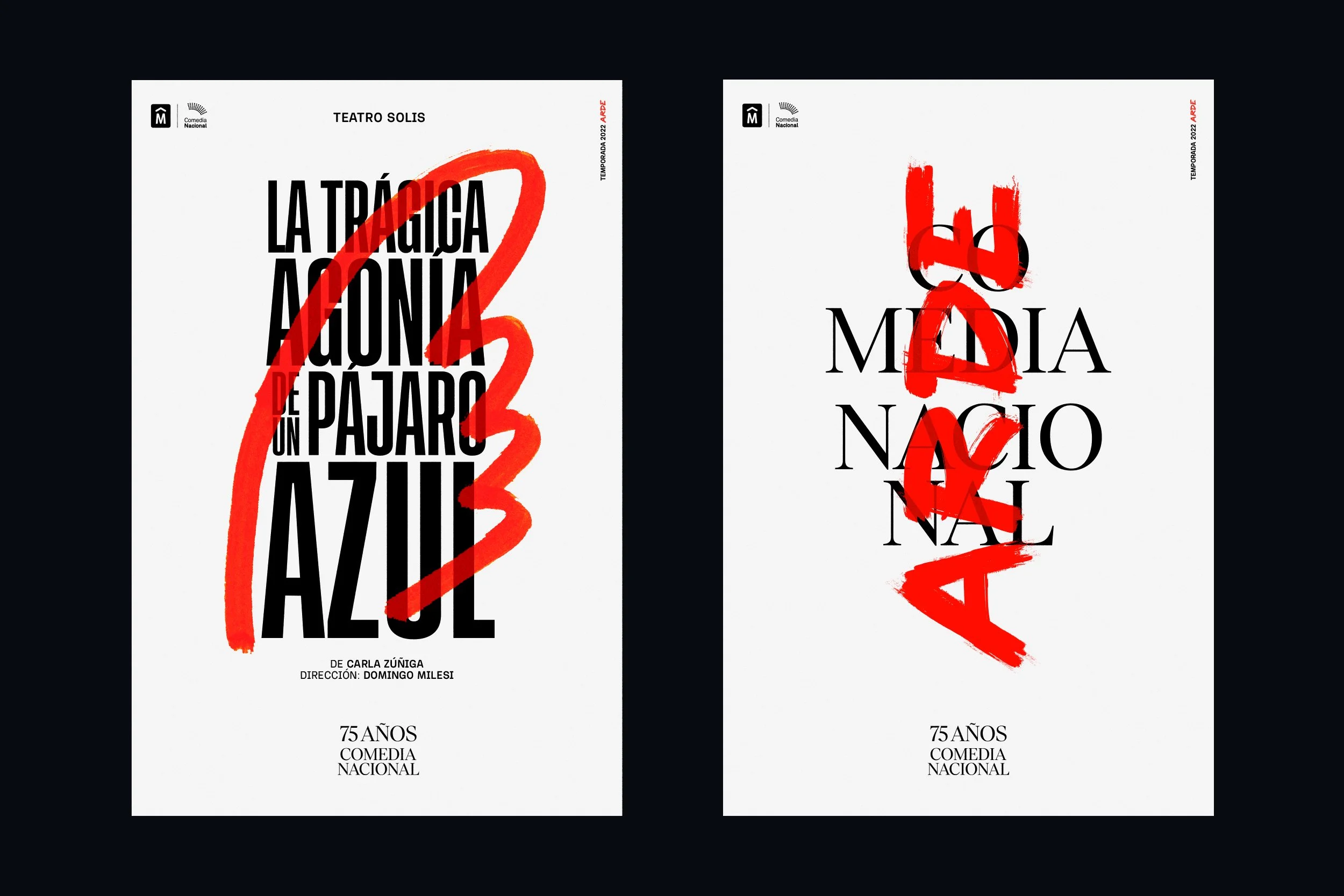 CN_Poster_Pajaro_Arde_2500px.jpg