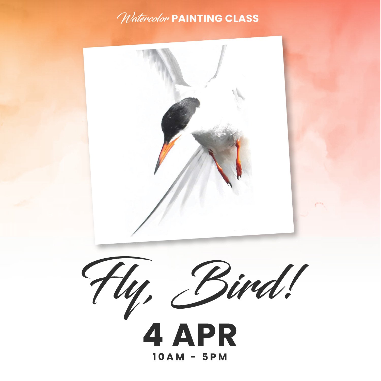 Fly, Bird • Workshop