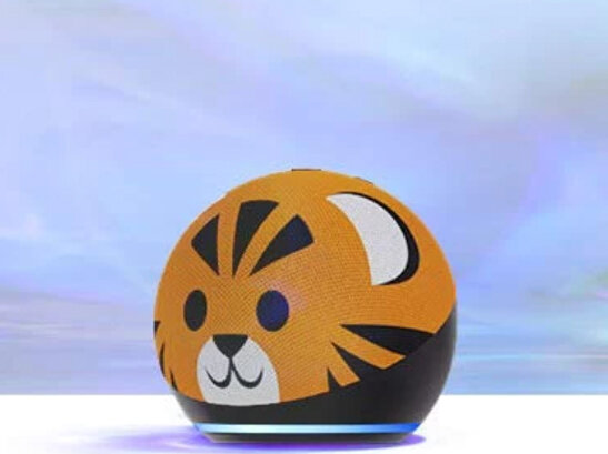 New Device Review | Echo Kids