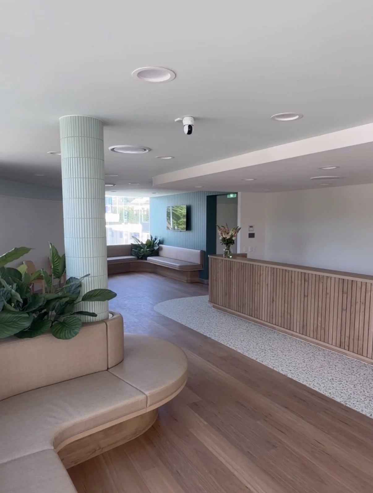 Modern lobby area with wooden flooring, beige seating, green plants, a wooden reception desk, and a corner seating area with blue wall and window.