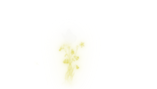 Illumine
