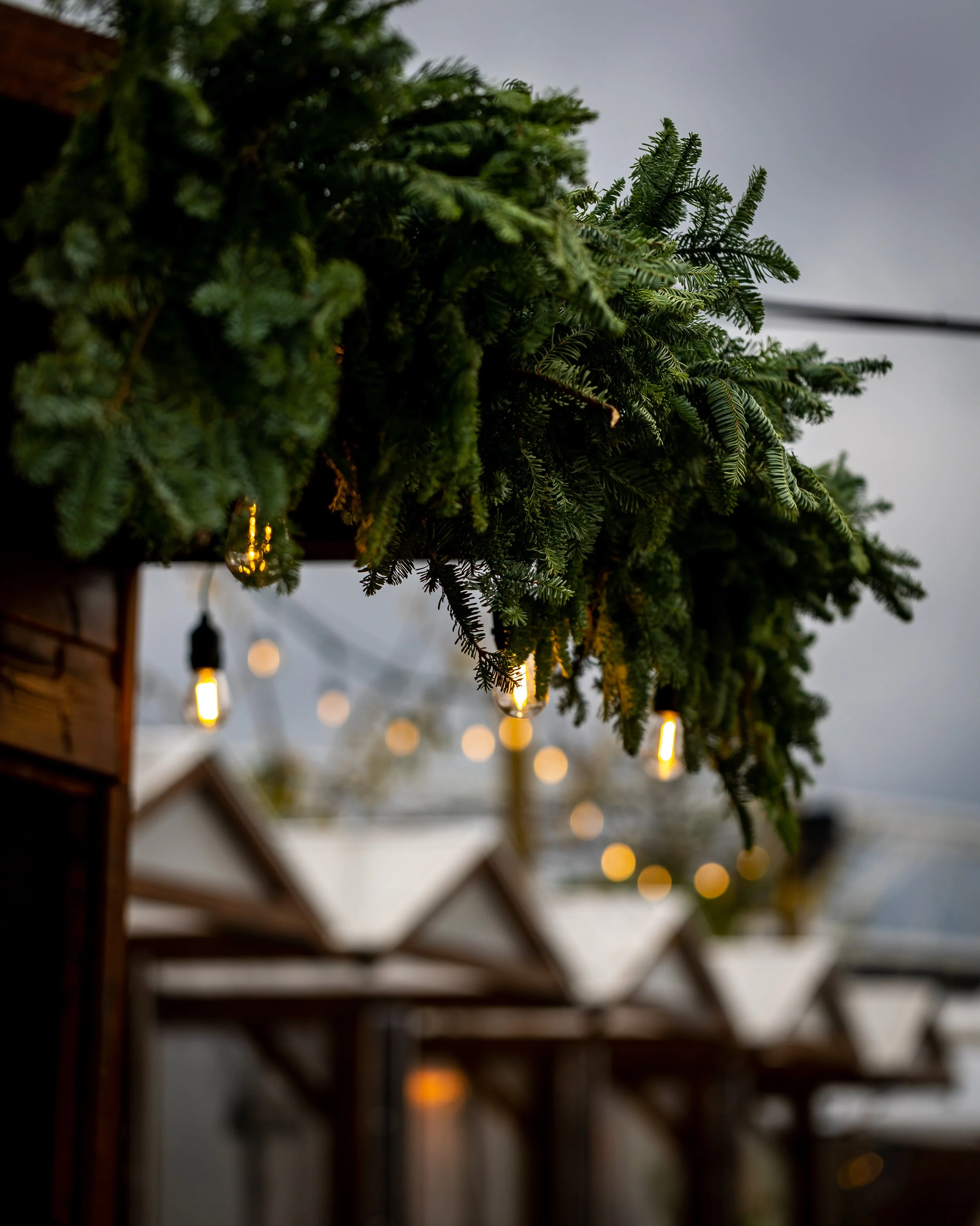 wick wonderland .jpg