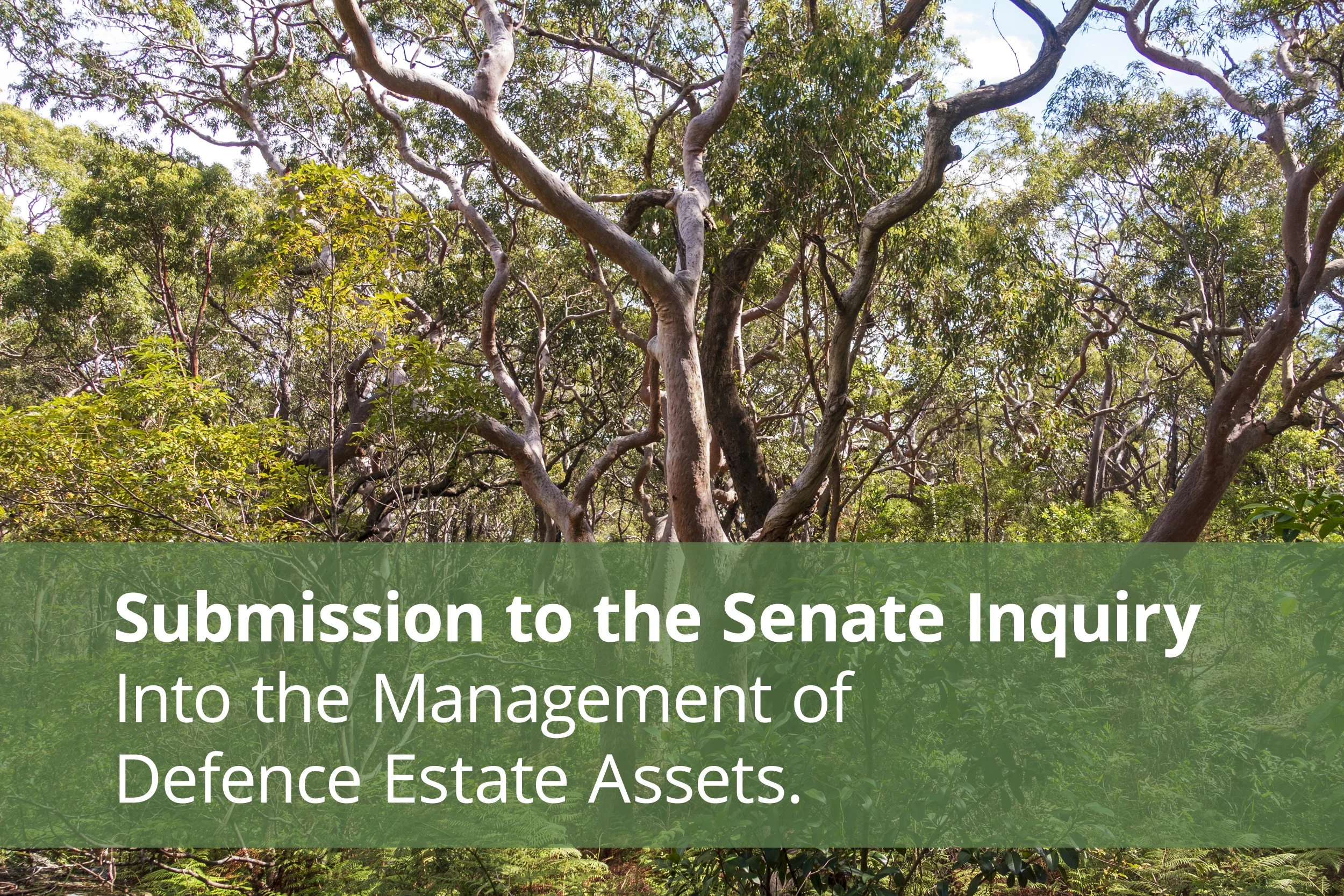 Our submission to the Senate Inquiry.