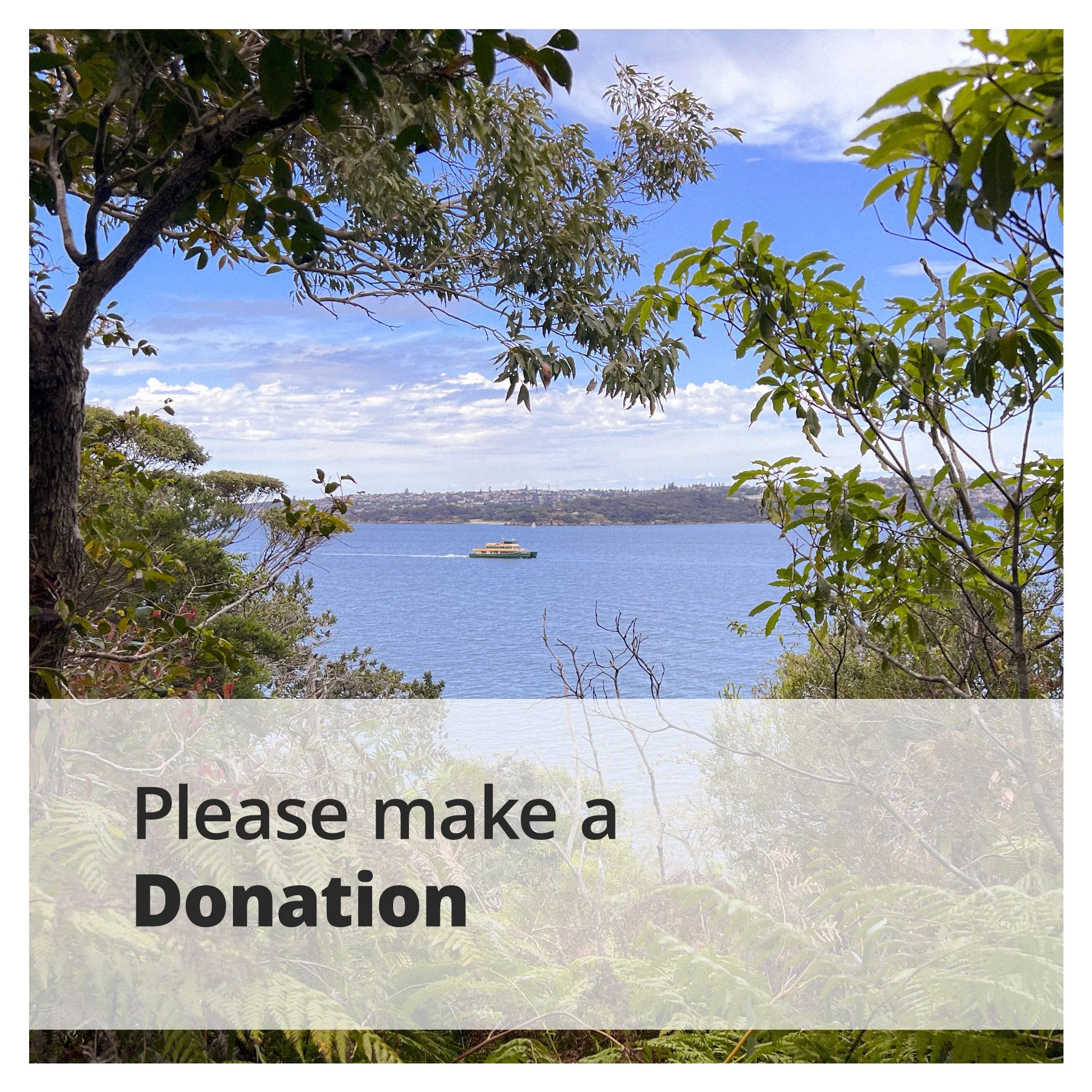 Make a Donation