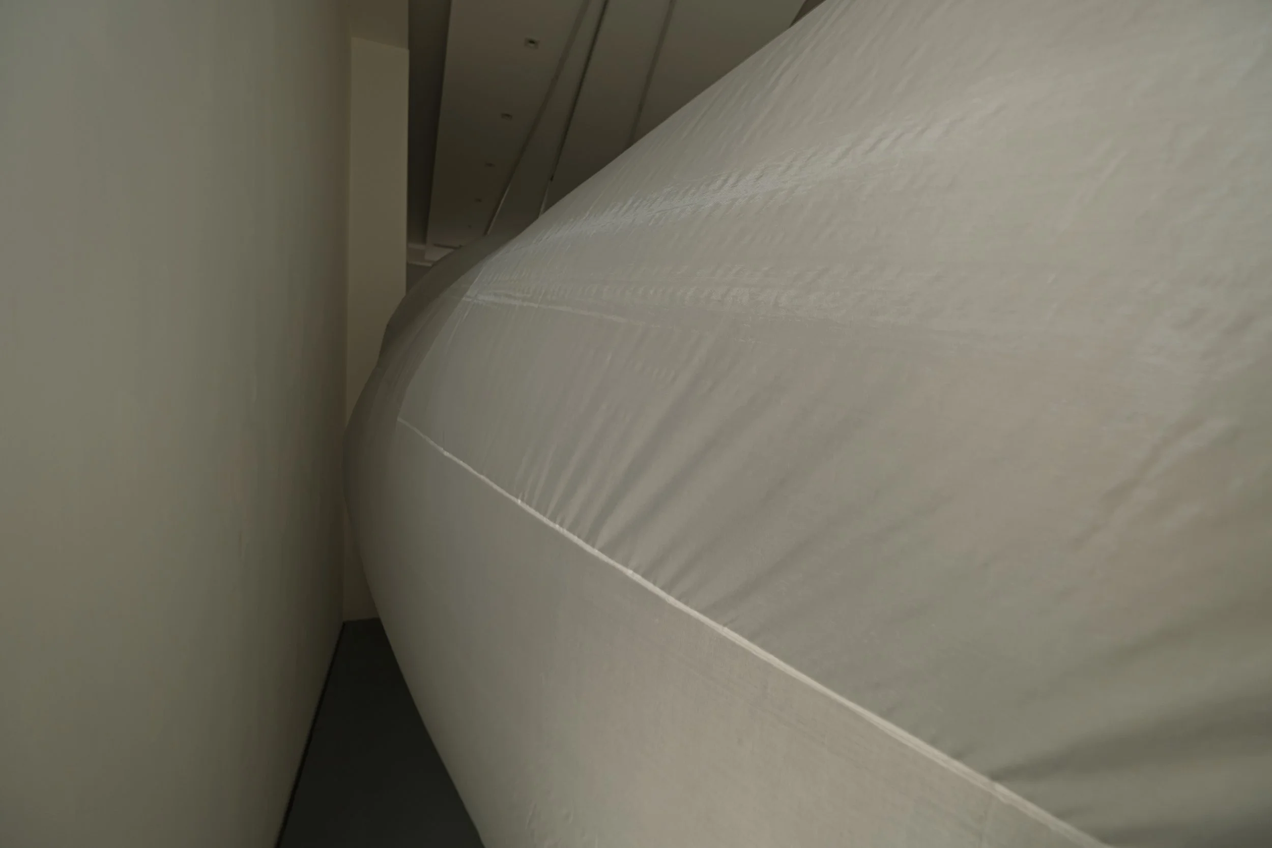 20250310113932 mini Srgb網路.jpg