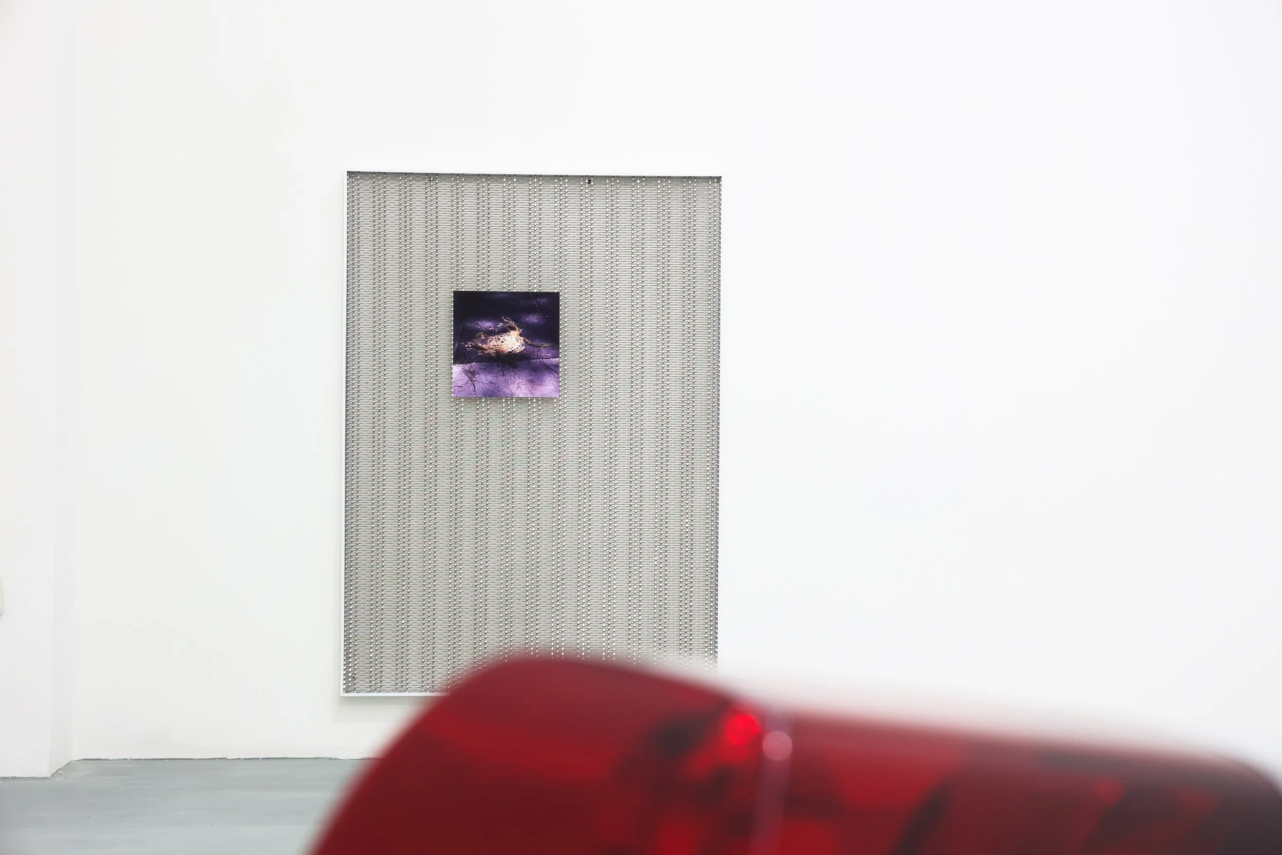 05.jpg