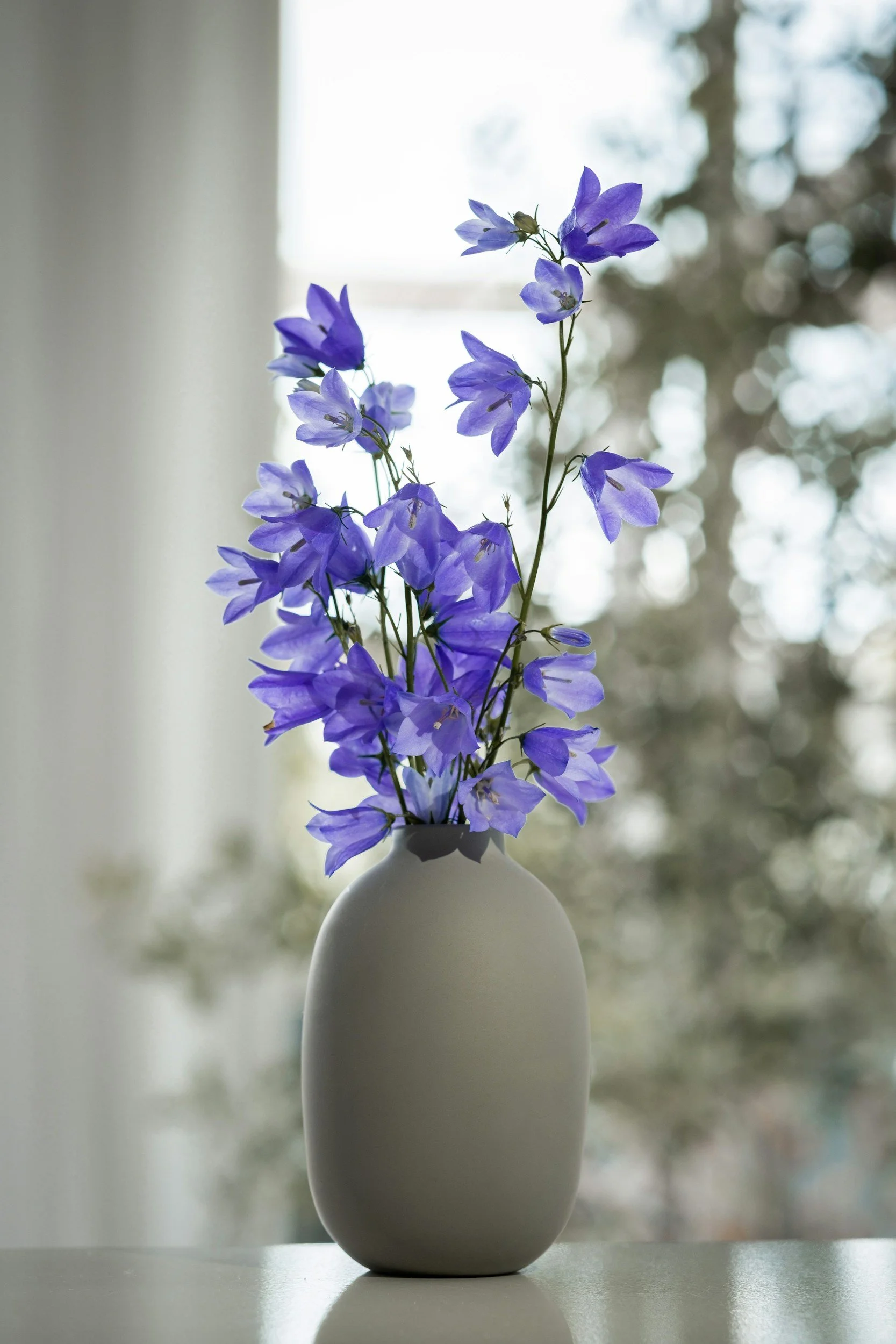 Minimal floral arrangement representing stillness and reflective space during an executive retreat