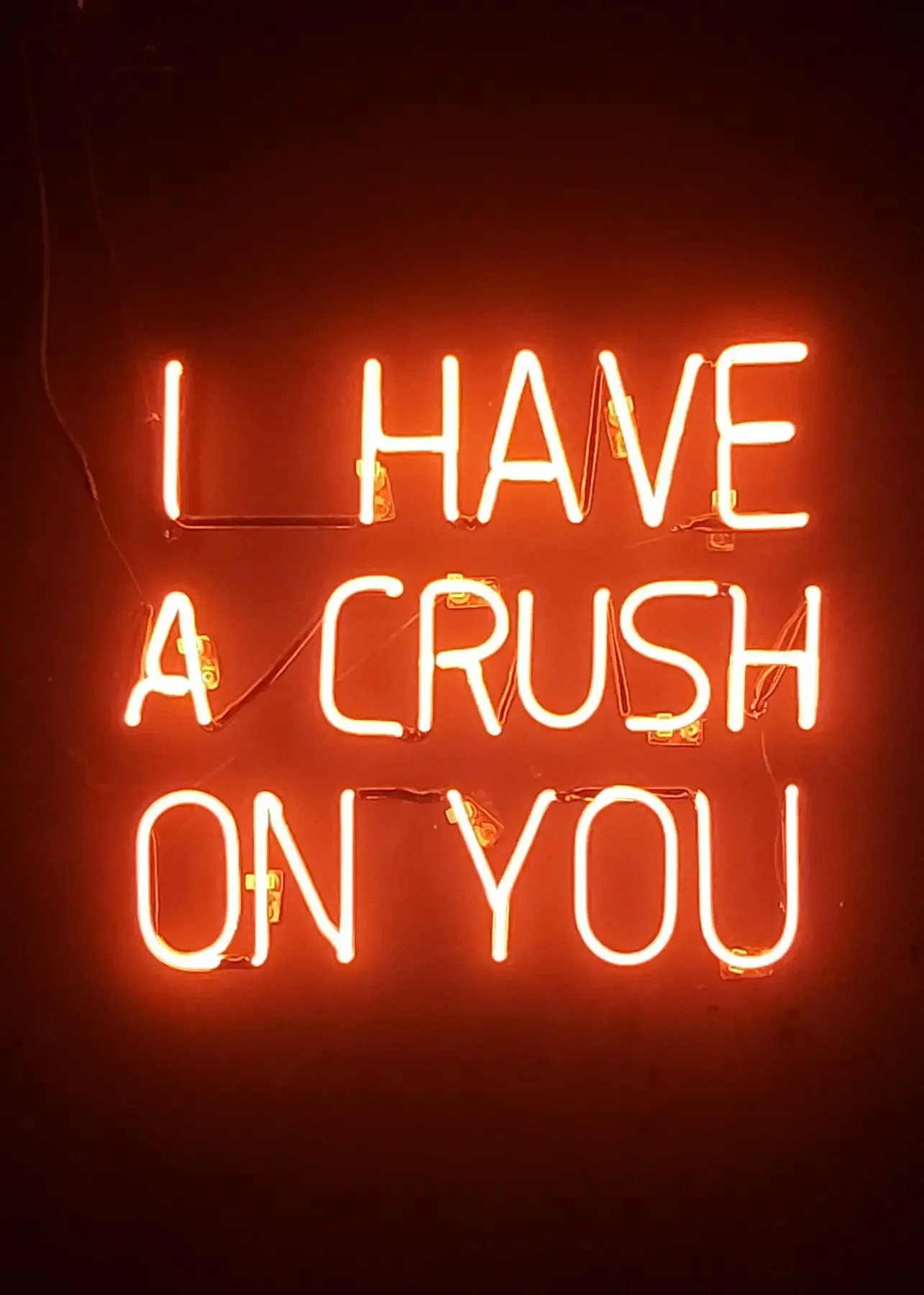 Neon sign reading "I have a crush on you" symbolizing how leaders project unresolved trauma onto co-founders and business partners
