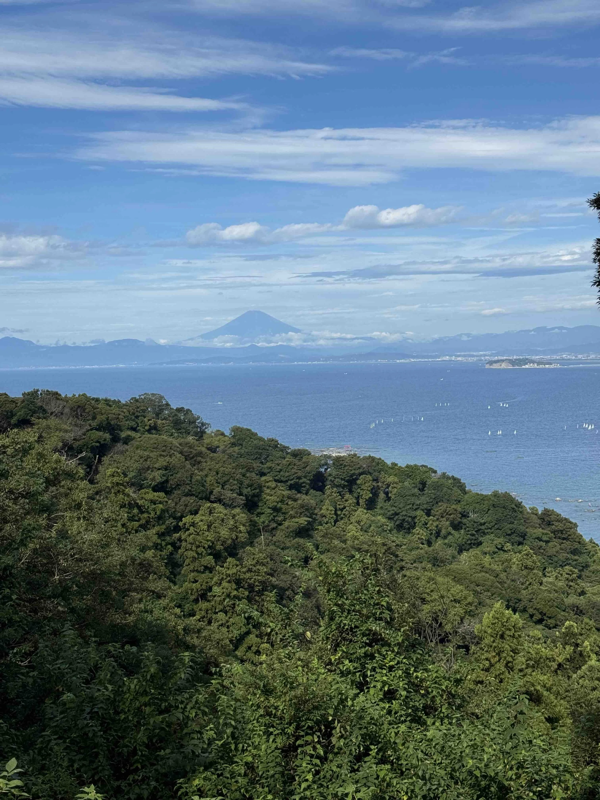 A view of Mt. Fuji and Sagami Bay