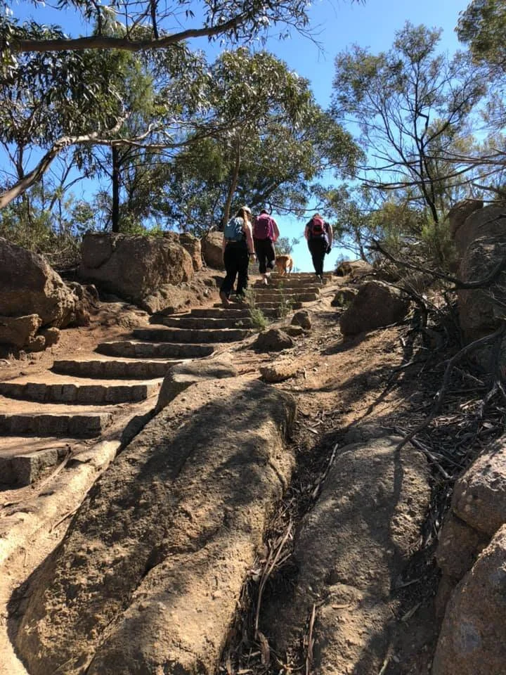 Section 8 - After a Hike