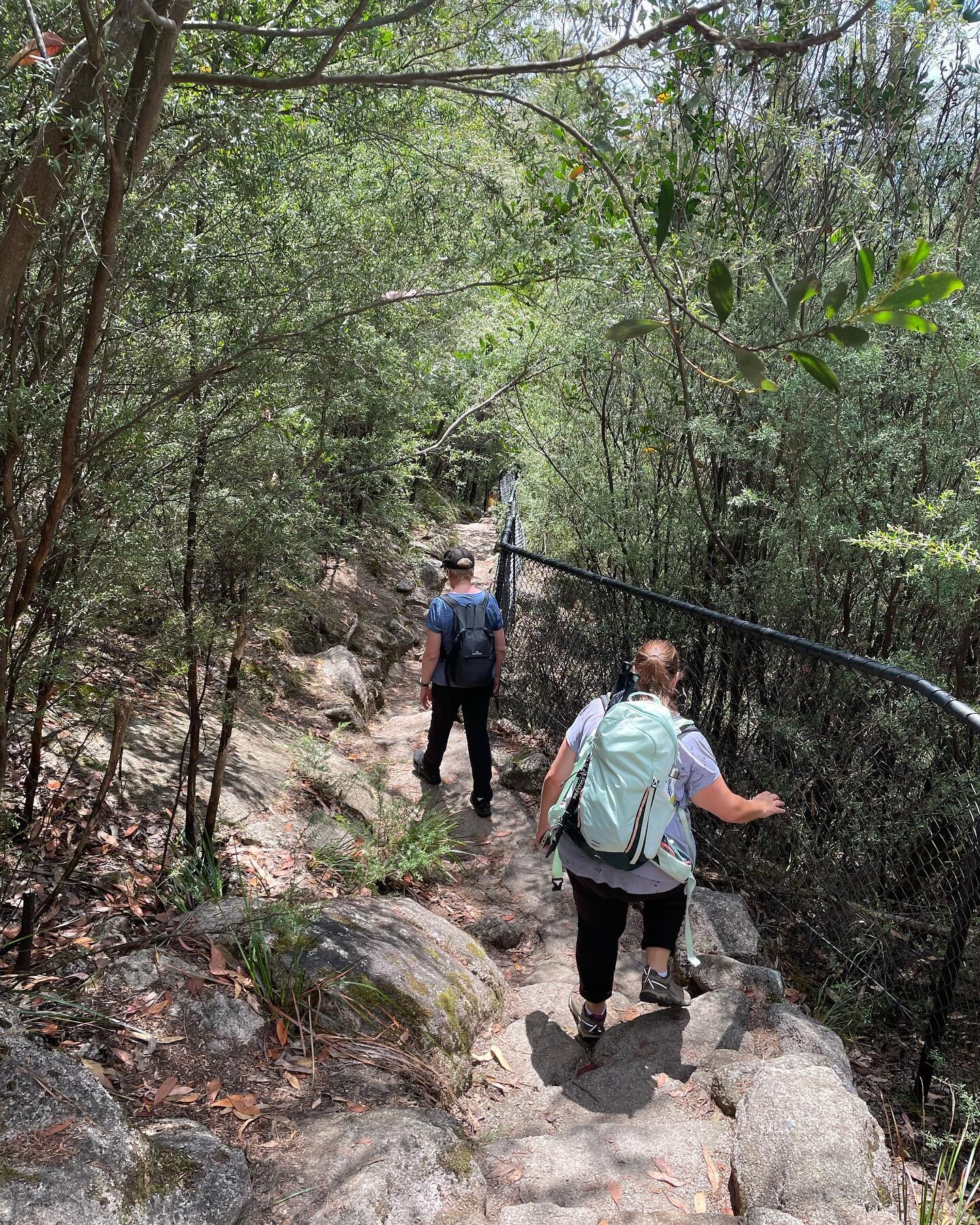 Lots of members were out and about last weekend, with a trip to Bright and Surrounds, as well as a heap of local walks in Melbourne taking advantage of the warm weather.  We are curious&hellip; have you increased walking locally as a result of habits