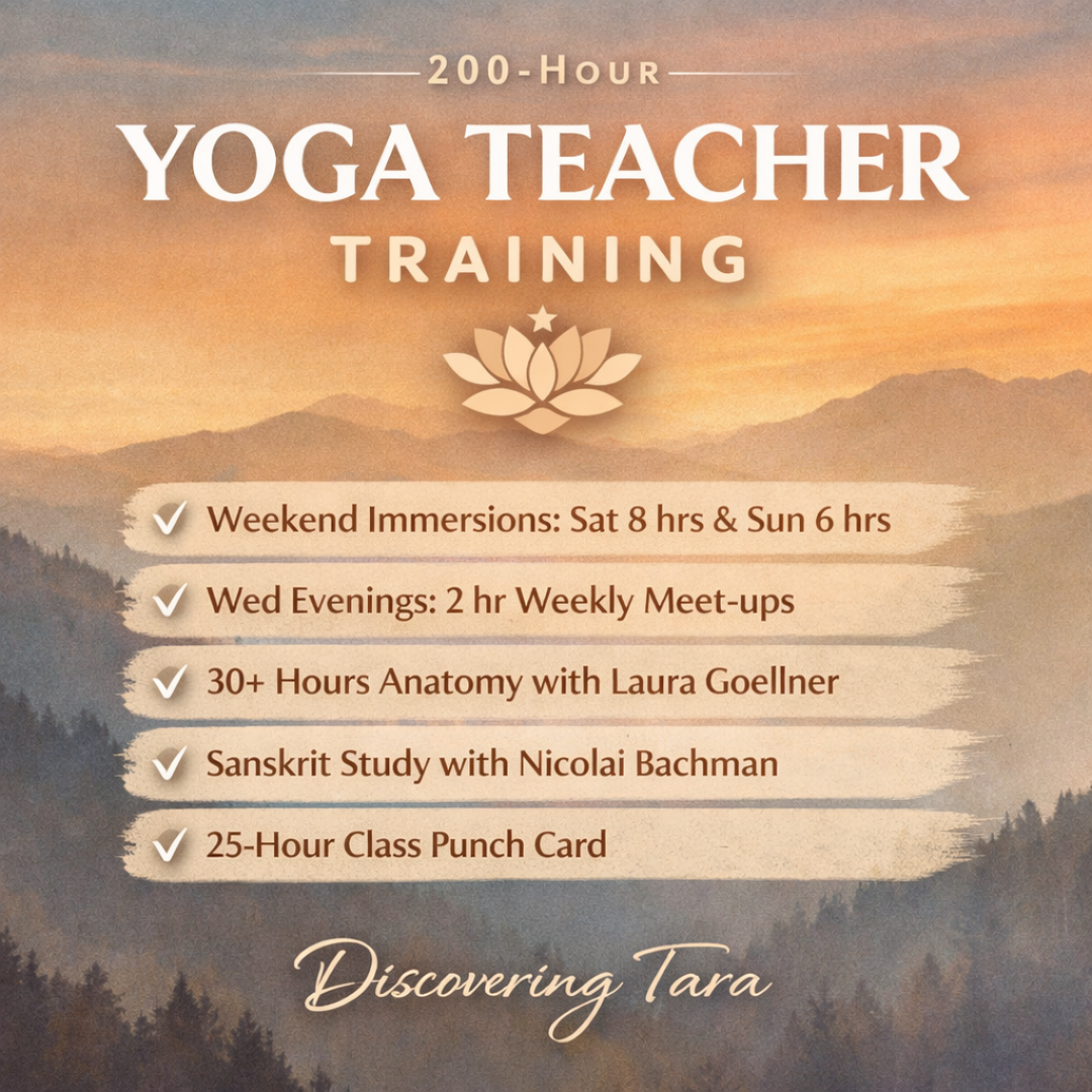 Yoga Teacher Training - 200Hr