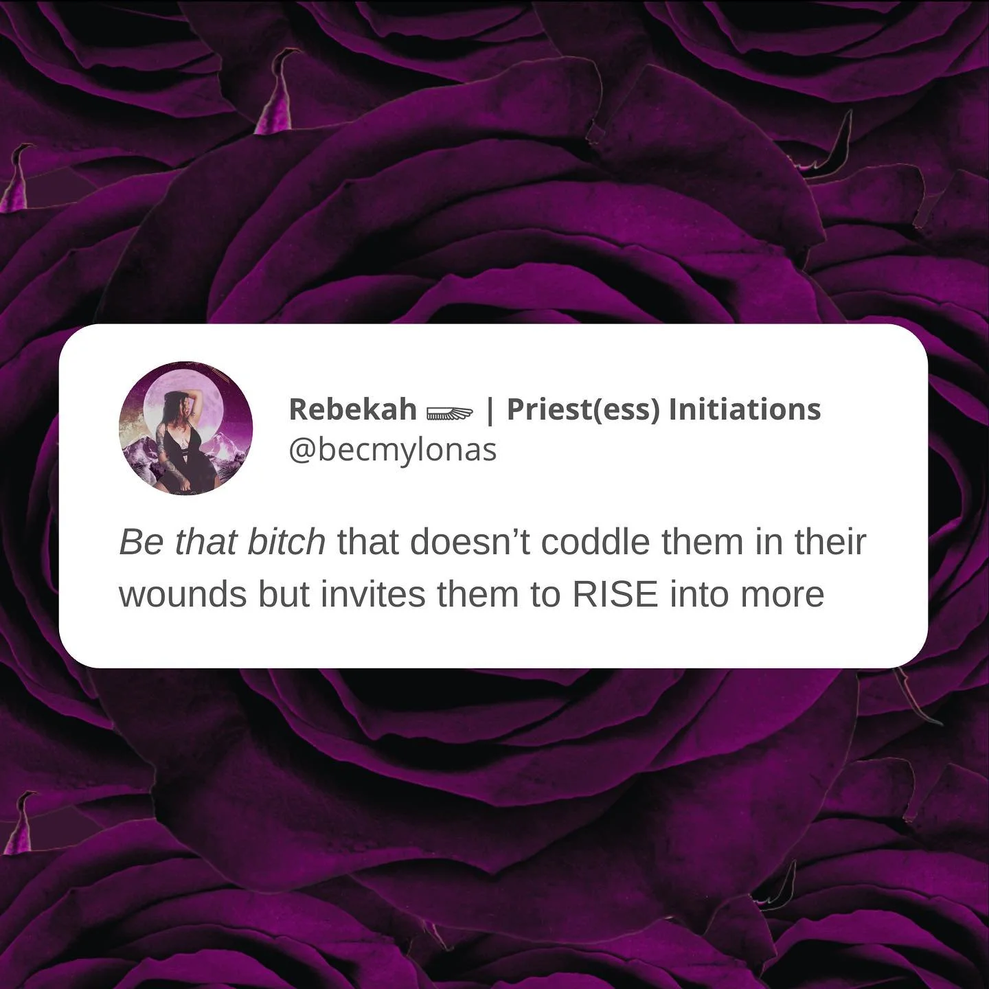 BE 👏 THAT 👏 BITCH 👏 🔥🐉. 
I said what I said.

Of all the slides, which bitch do you commit to being? 
LMK BELOW &amp; tag a bitch who needs these vibes in her life

#dragonenergy #priestess #divinefeminine #selflove #selfworth