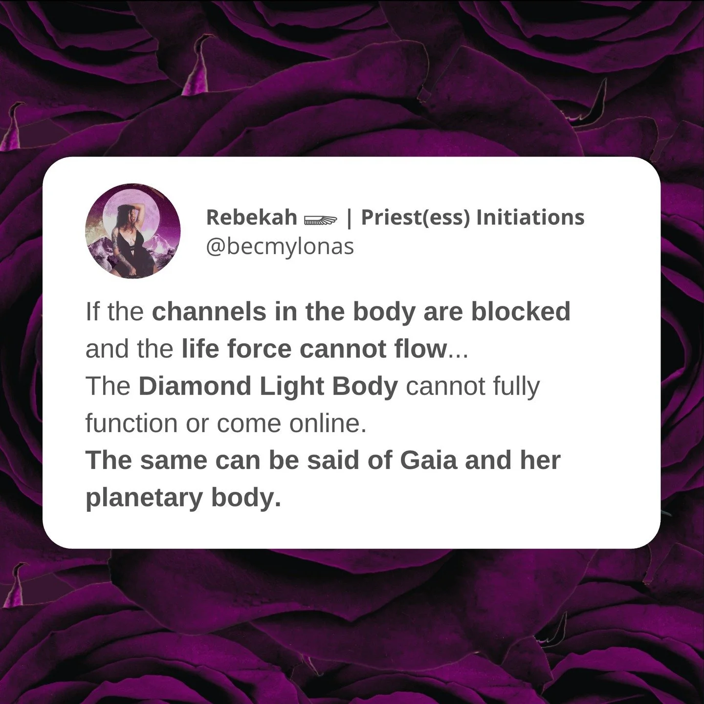 When the dragon lines flow, the crystalline grid awakens&hellip; and we collectively remember who and what we are 🐉💎

If you&rsquo;ve been feeling the call to work with the dragon lines, crystalline architecture, and planetary ascension templates&h