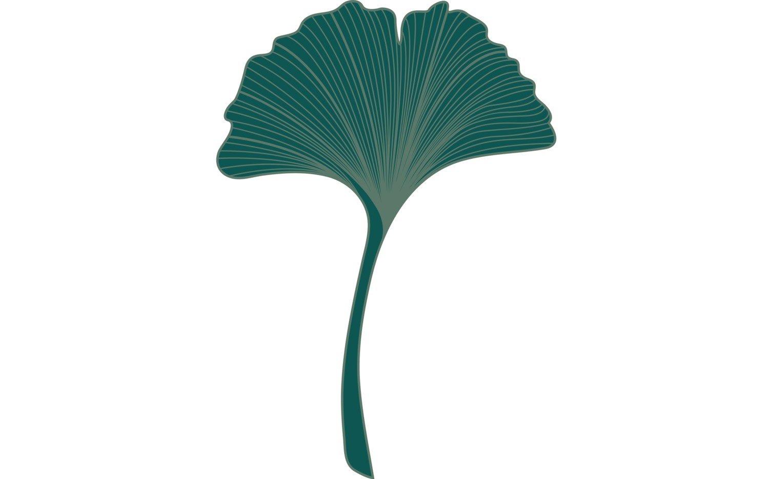 Pollard Tree Care