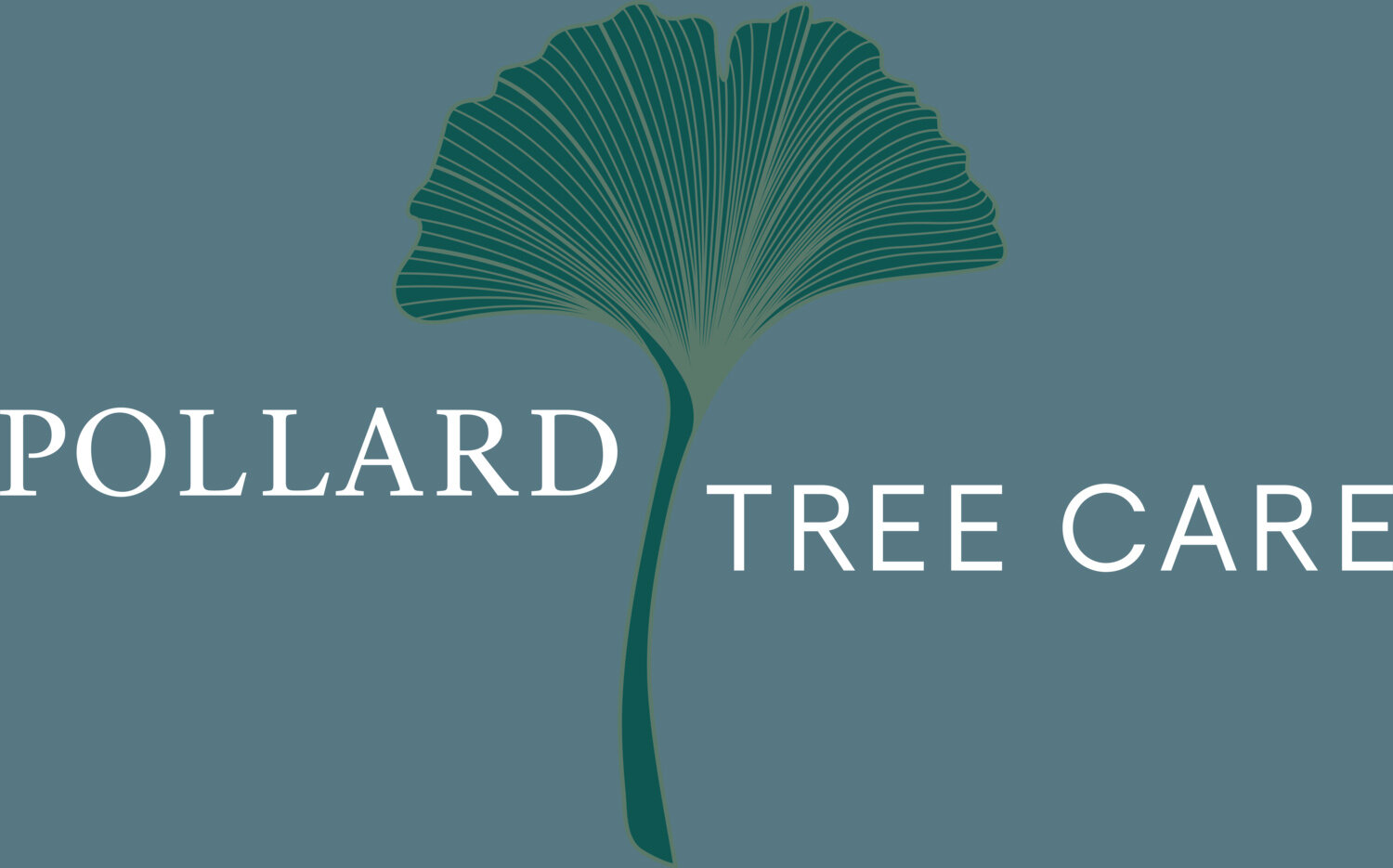 Pollard Tree Care