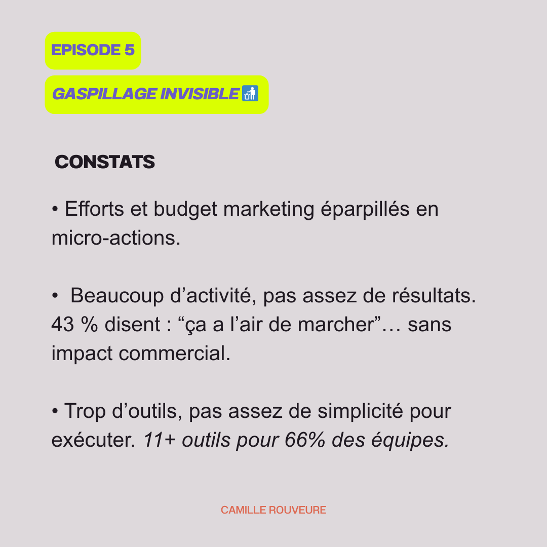 constat-marketing-gaspillage-budget-camille-rouveure-3.png