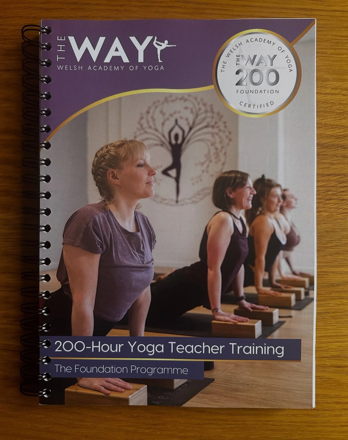 YOGA TEACHER EDUCATION 
The collection of yoga teacher training is developing and growing with @welsh_academy_yoga 🤩

Excited to be launching a brand new 30-Hour immersion with beautiful soul Darcy aka @yinlife_ coming in July 2026 for all of you wh