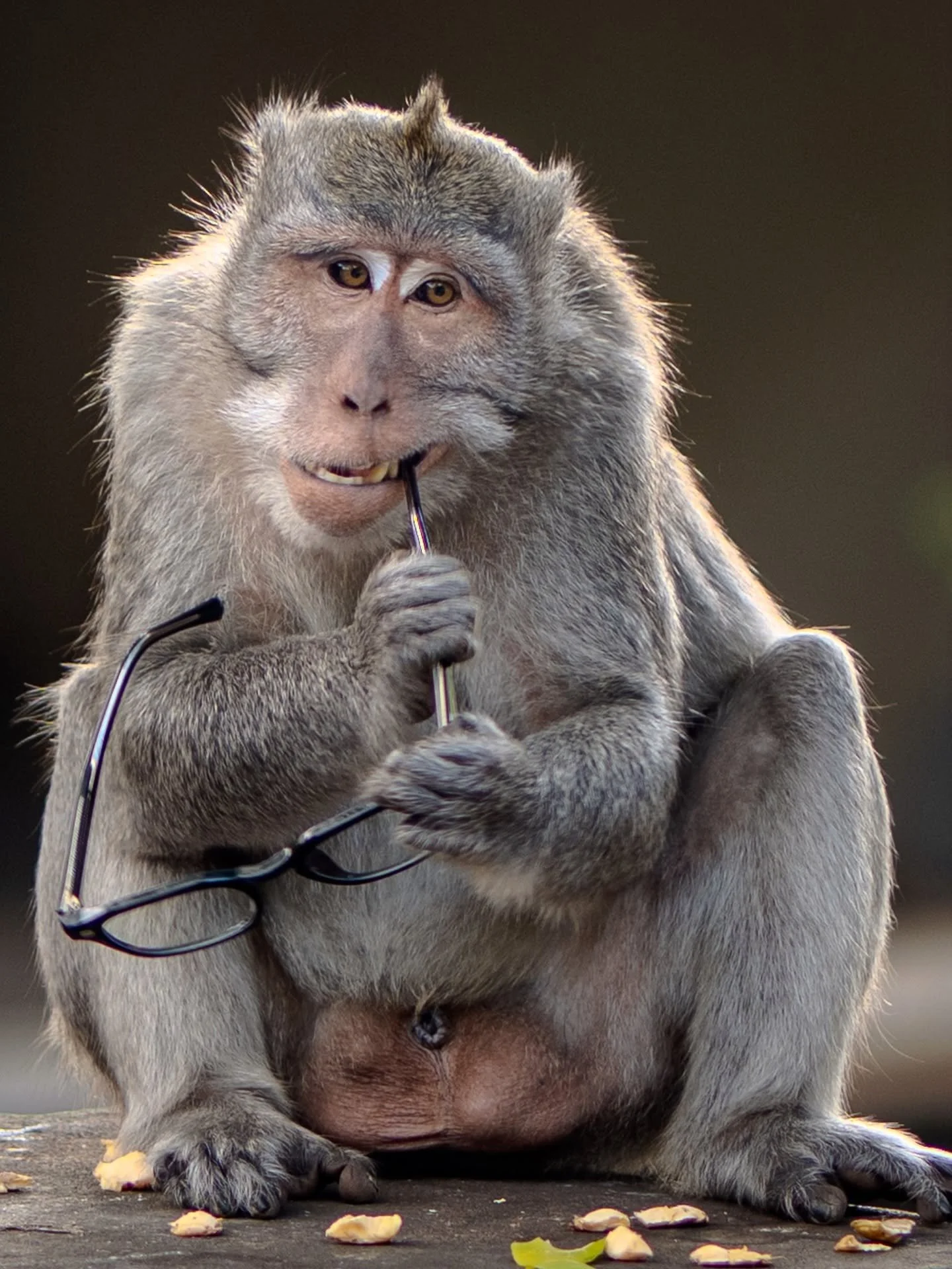 2025 TRAVEL ADVENTURES
Four unforgettable destinations ✈️ 🌍 

Bali &bull; Rome &bull; Lisbon &bull; Amsterdam 🏝️ 🏛️ 🚃 🚲 

#2025 #travels #photography 💫