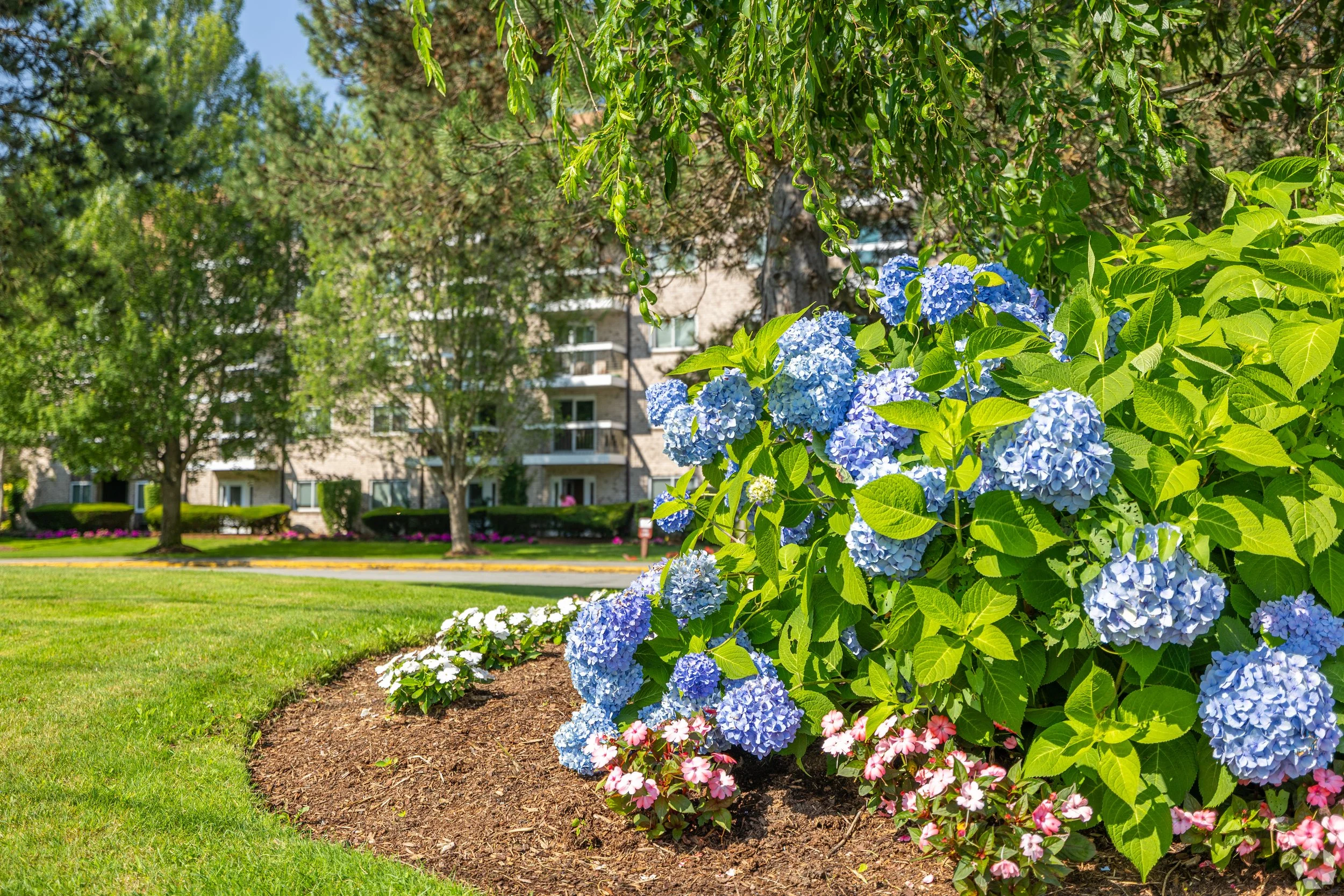 Kings-Lynne-Apts (16).jpg