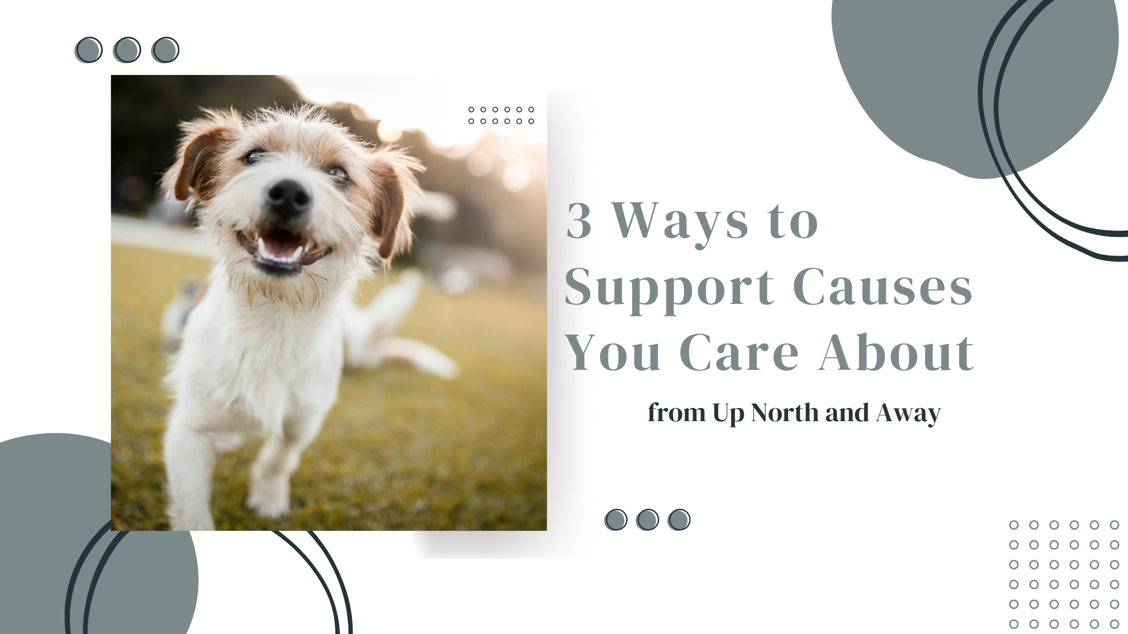 3 Ways to Support Causes You Care About — up north & away