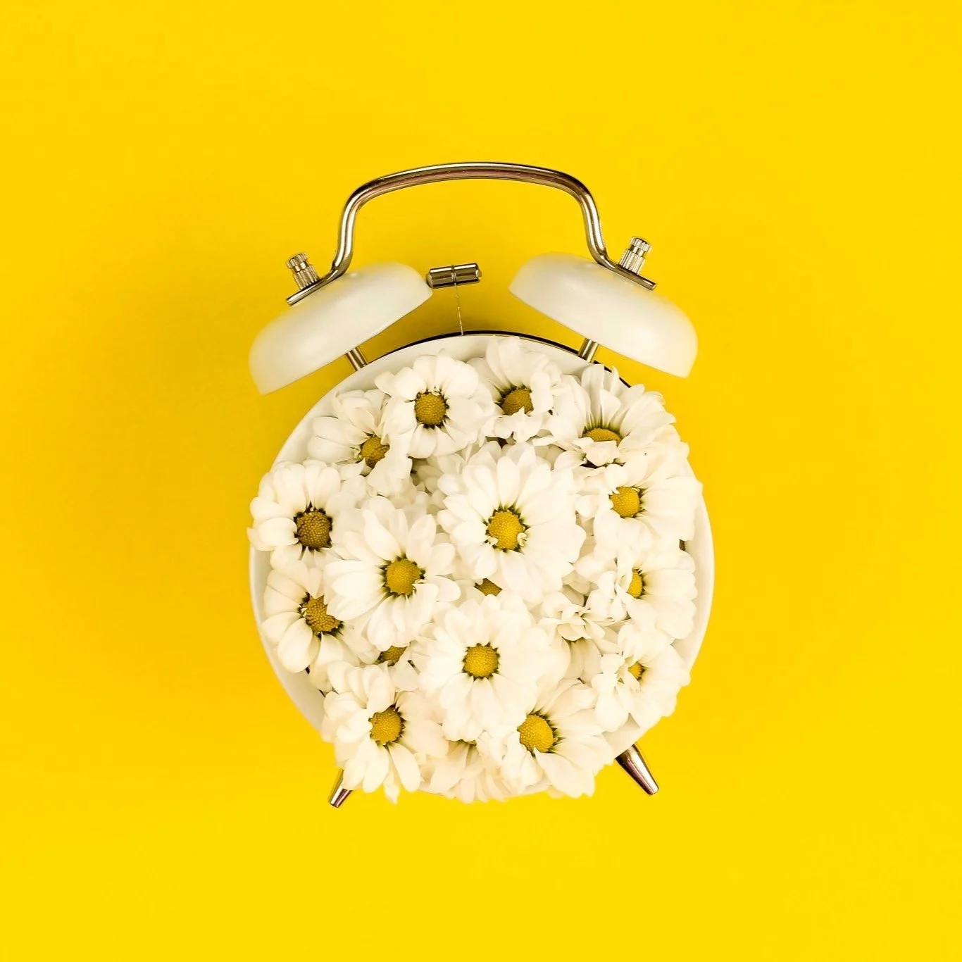summertime-concept-with-alarm-clock-and-chamomile-flowers-on-yellow-background-alarm-alarm-clock_t20_lLveJm.jpg