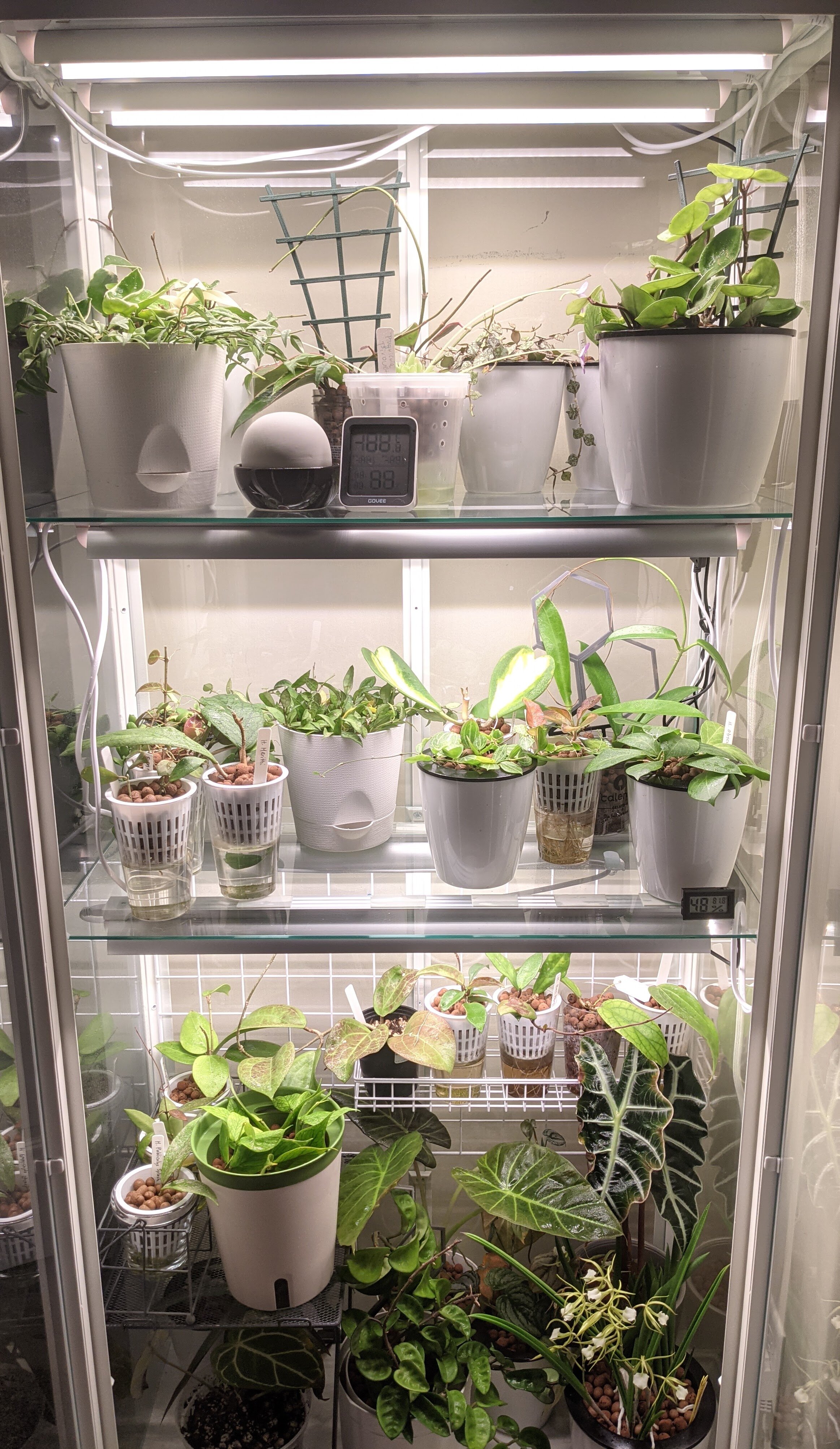 Greenhouse Cabinet Lighting