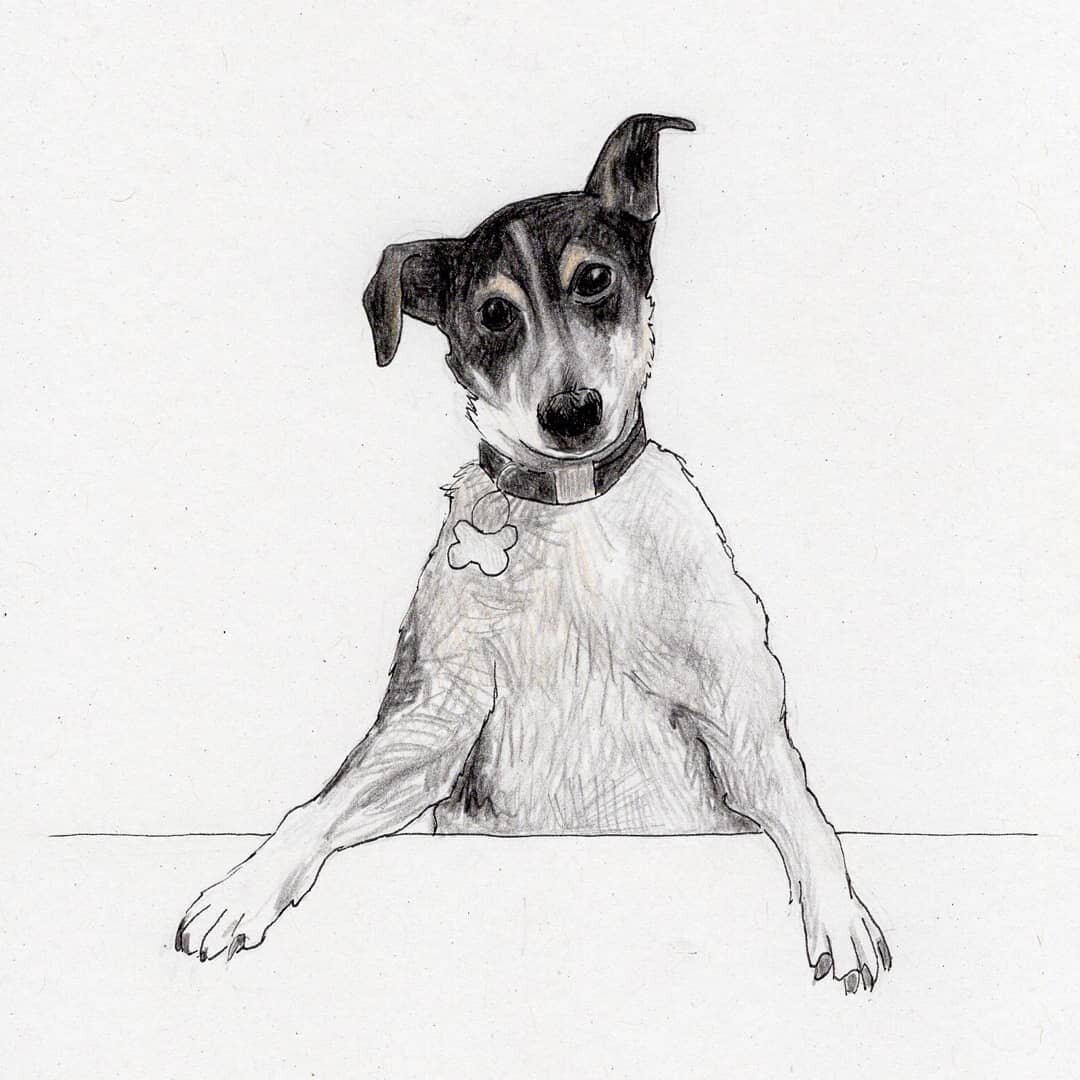 ☄It's Friday, it's time for some cute doggo content ☄Today's top dog is the lovely Rafiki, done for a recent personalised card. 
Always love getting a pet commission 💛

&bull;&bull;&bull;
#dogsofinstagram #dogillustration #dogdrawing #cutedog #perso