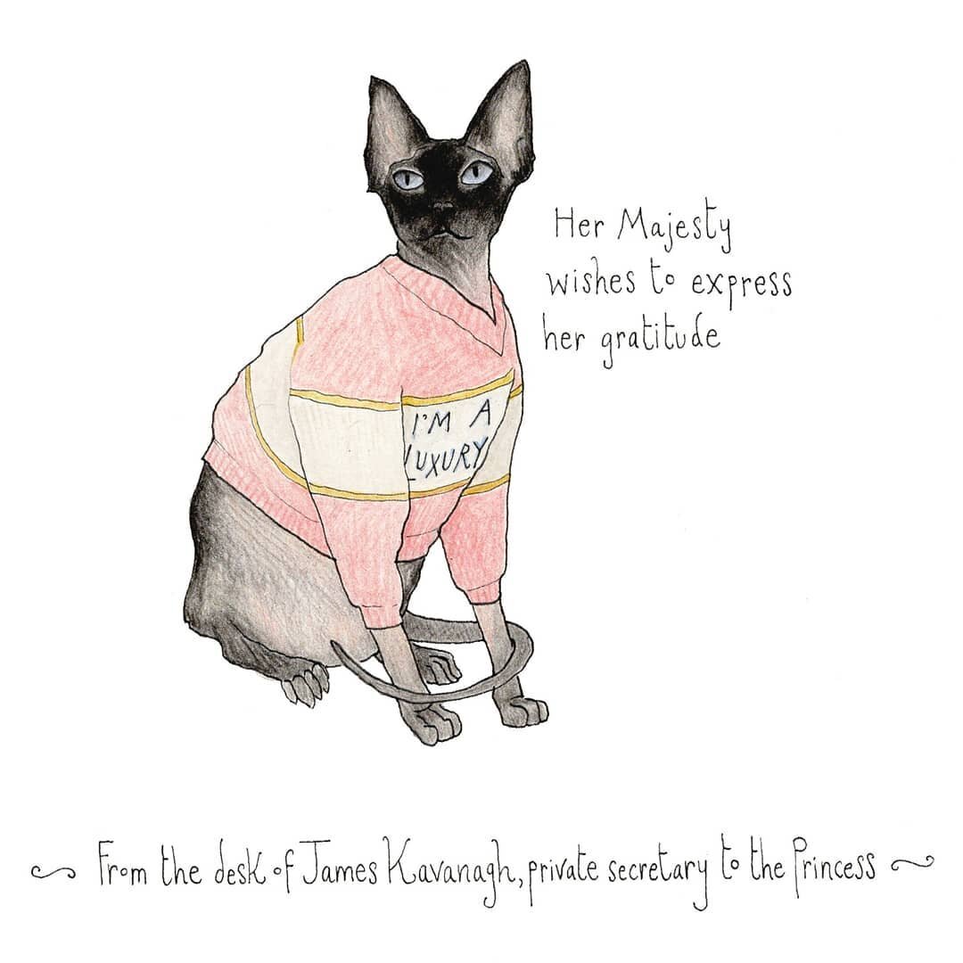 A thank you card inspired by Princess Diana the cat - from the desk of @jamesalankavanagh, private secretary to the Princess. Swipe to see the jumper inspo! 🧶 

&bull;&bull;&bull;
#dianathecatprincess #catsofinstagram #diana #imaluxury #thankyou #th