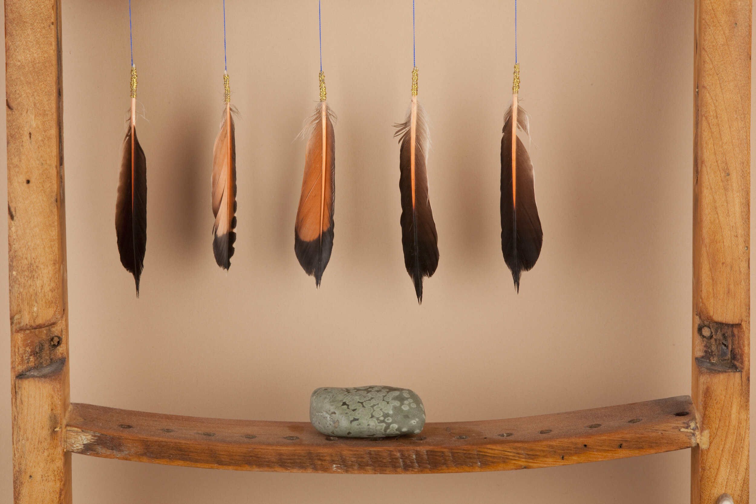 Northern__feather_detail.jpg