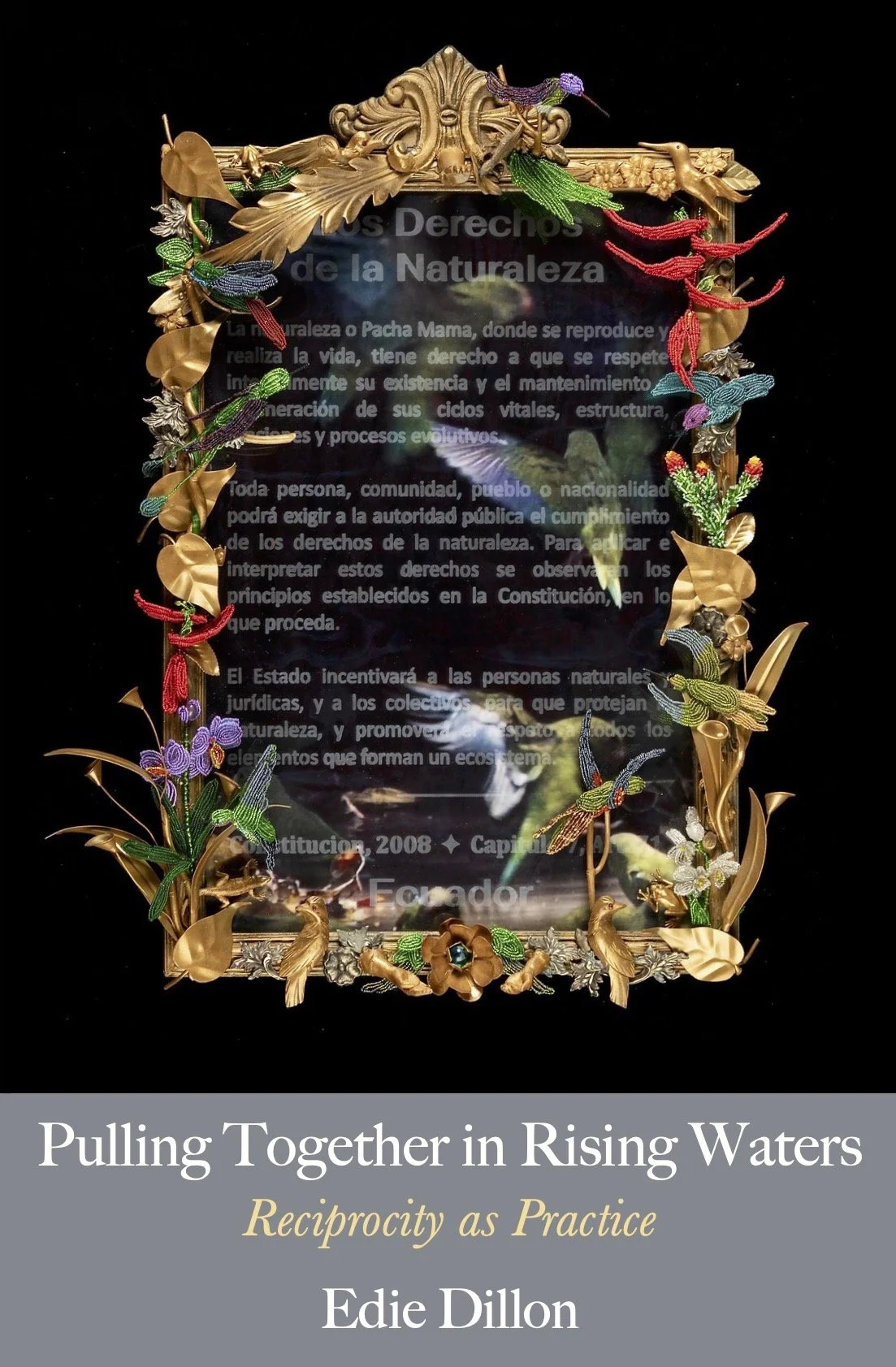 Cover image Pulling Together in Rising Waters