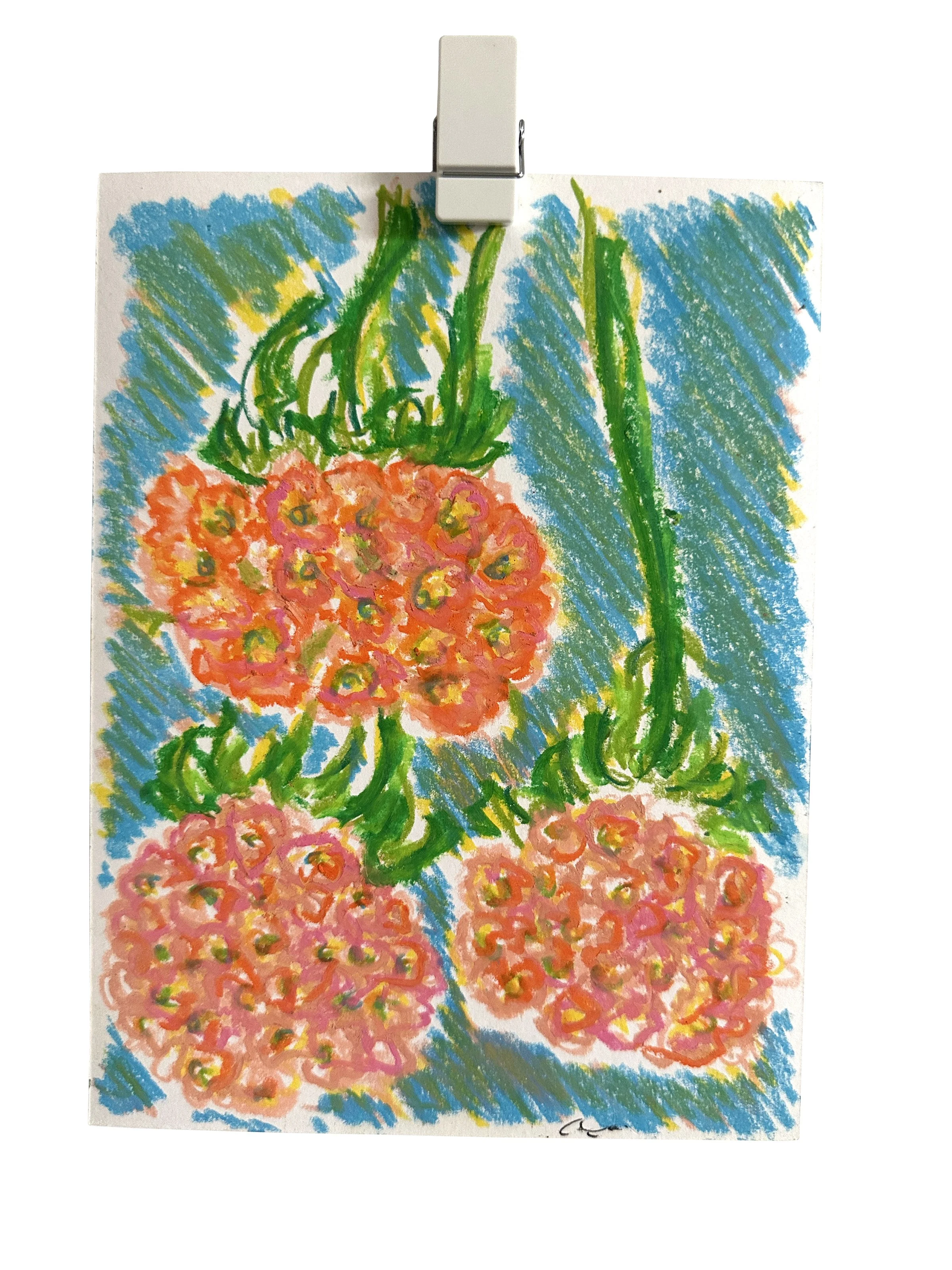 Sketches_Hortencia Mexicana.jpg