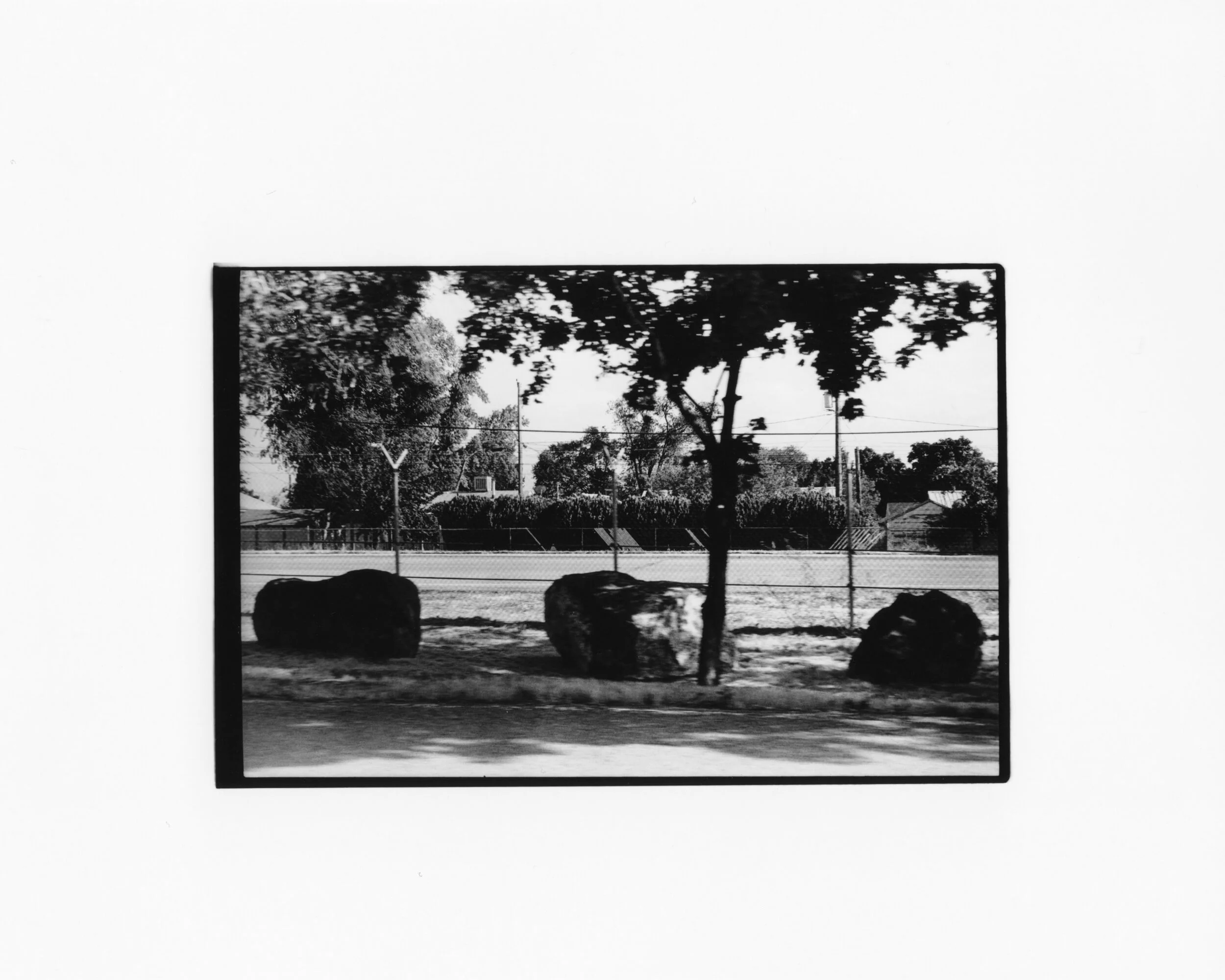 b&w-9.jpg