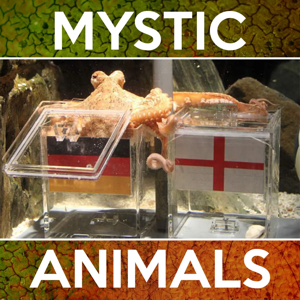 Crab Divination and Fortune Telling — Crab Museum