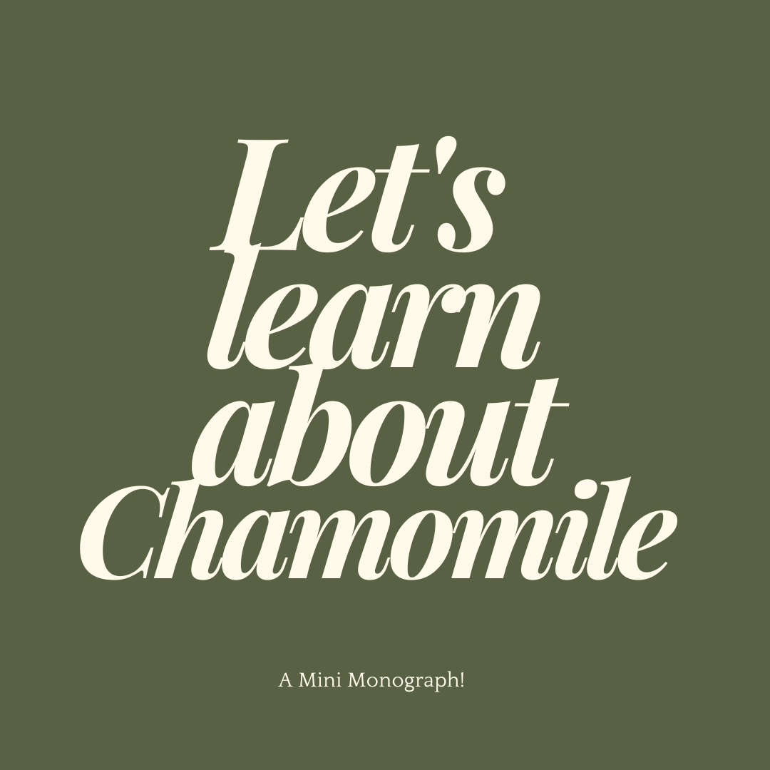 Chamomile (Matricaria chamomilla) - Mini Monograph