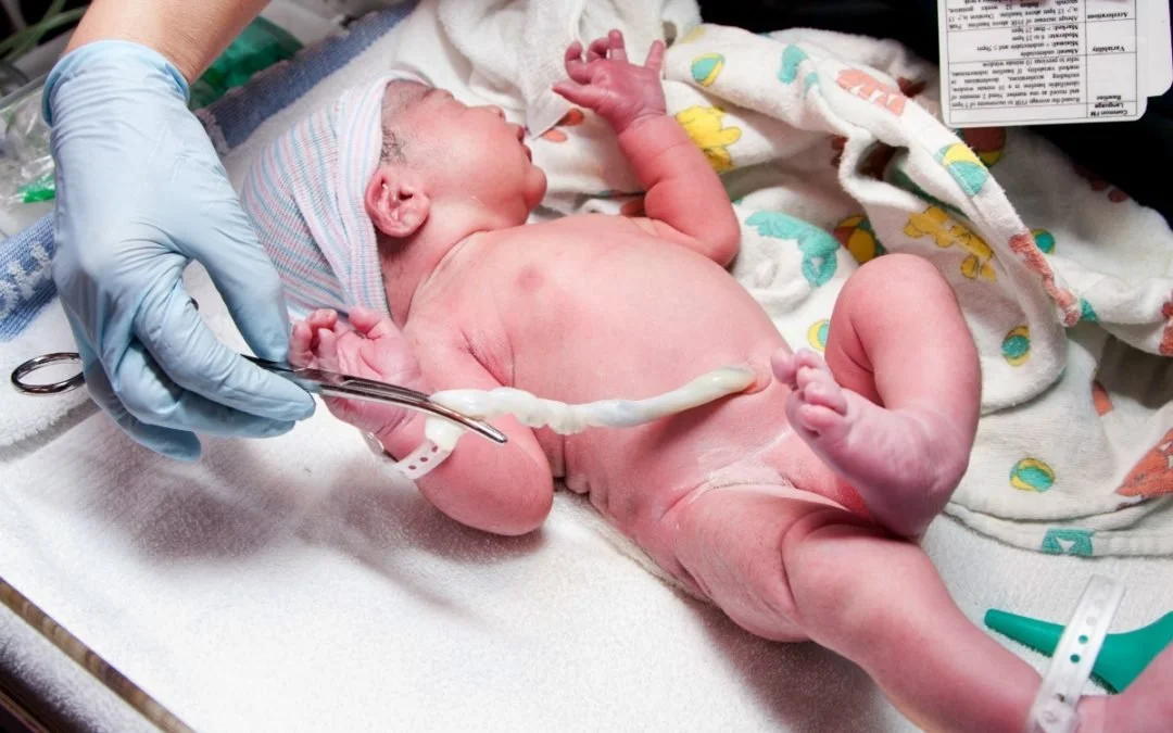 Image from rock the cradle .ca