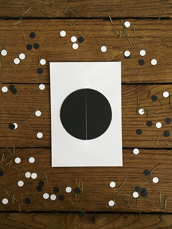 POINT_animation_600x800.gif