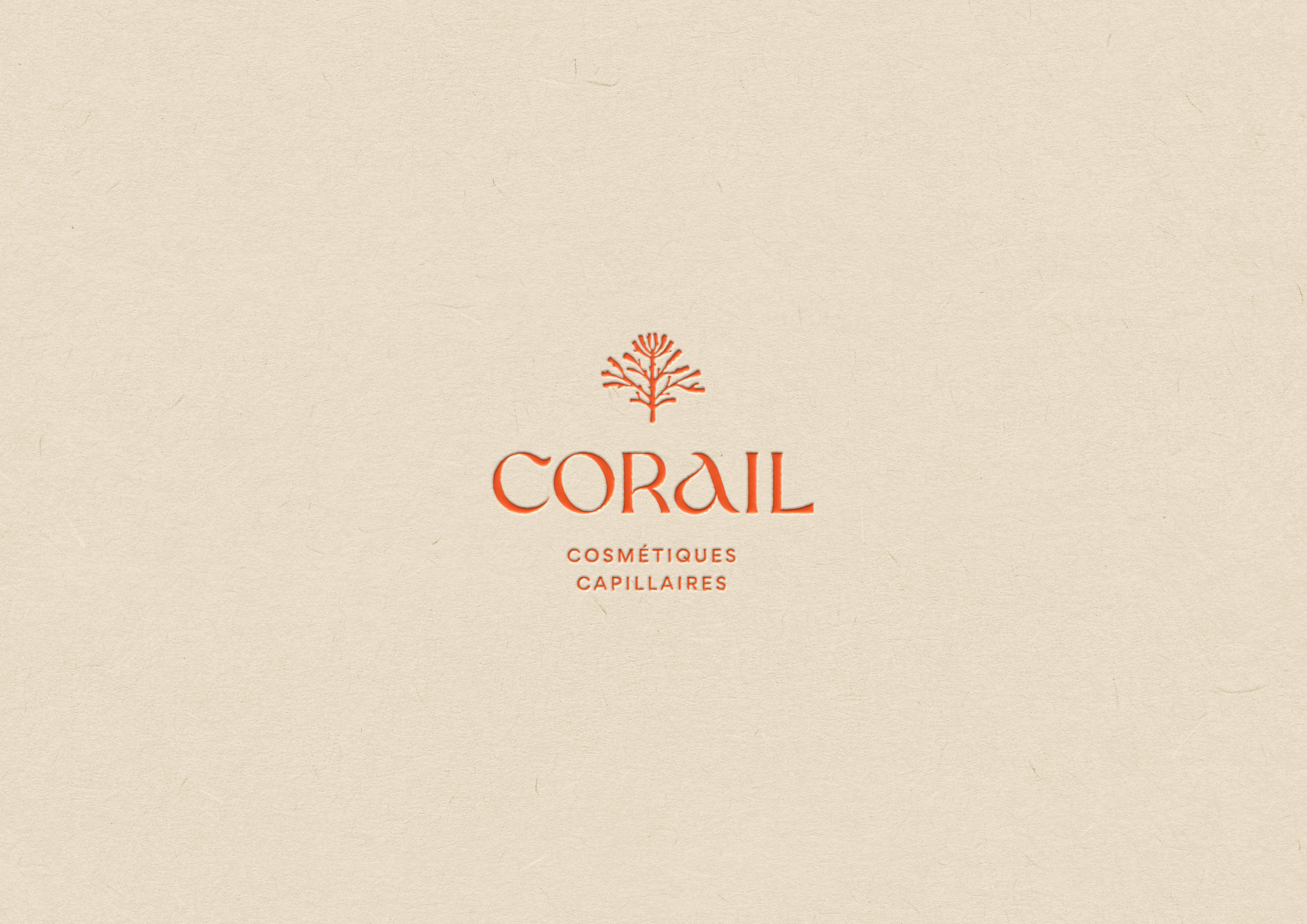 Identité visuelle premium : l'exemple de la marque Corail