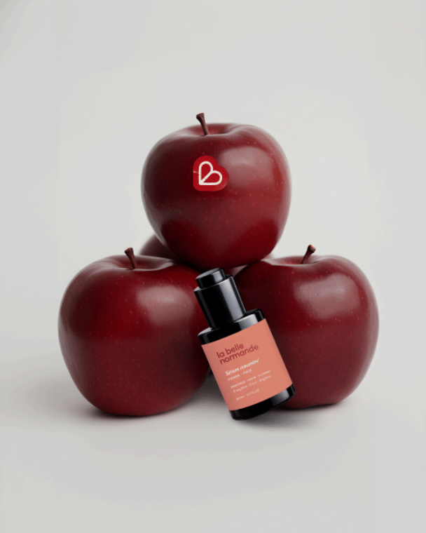 LA BELLE NORMANDE - SET DESIGN - STUDIO NOVEMBRE