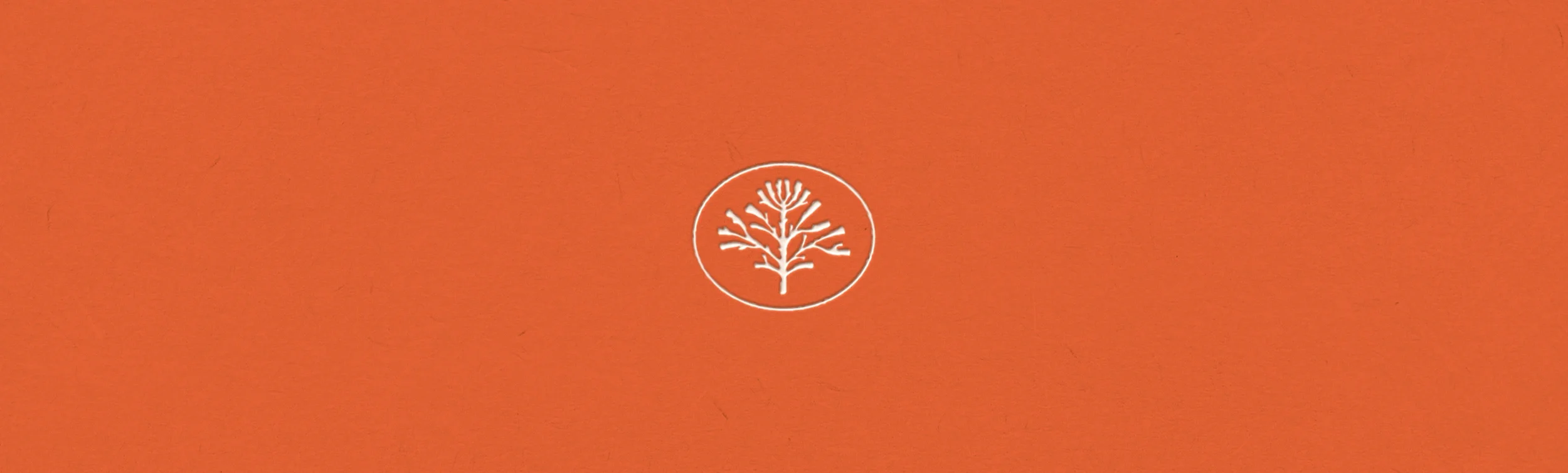 Monogramme Corail : symbole d’un coral entouré d’un oval sur fond orange réalisé par Studio Novembre.