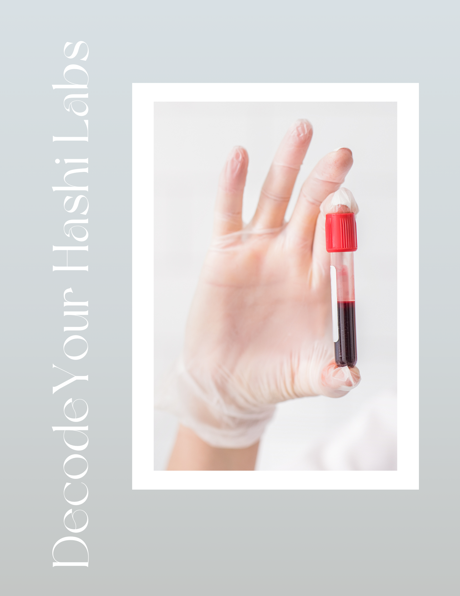 Crack the Hashi Lab Code (1).png