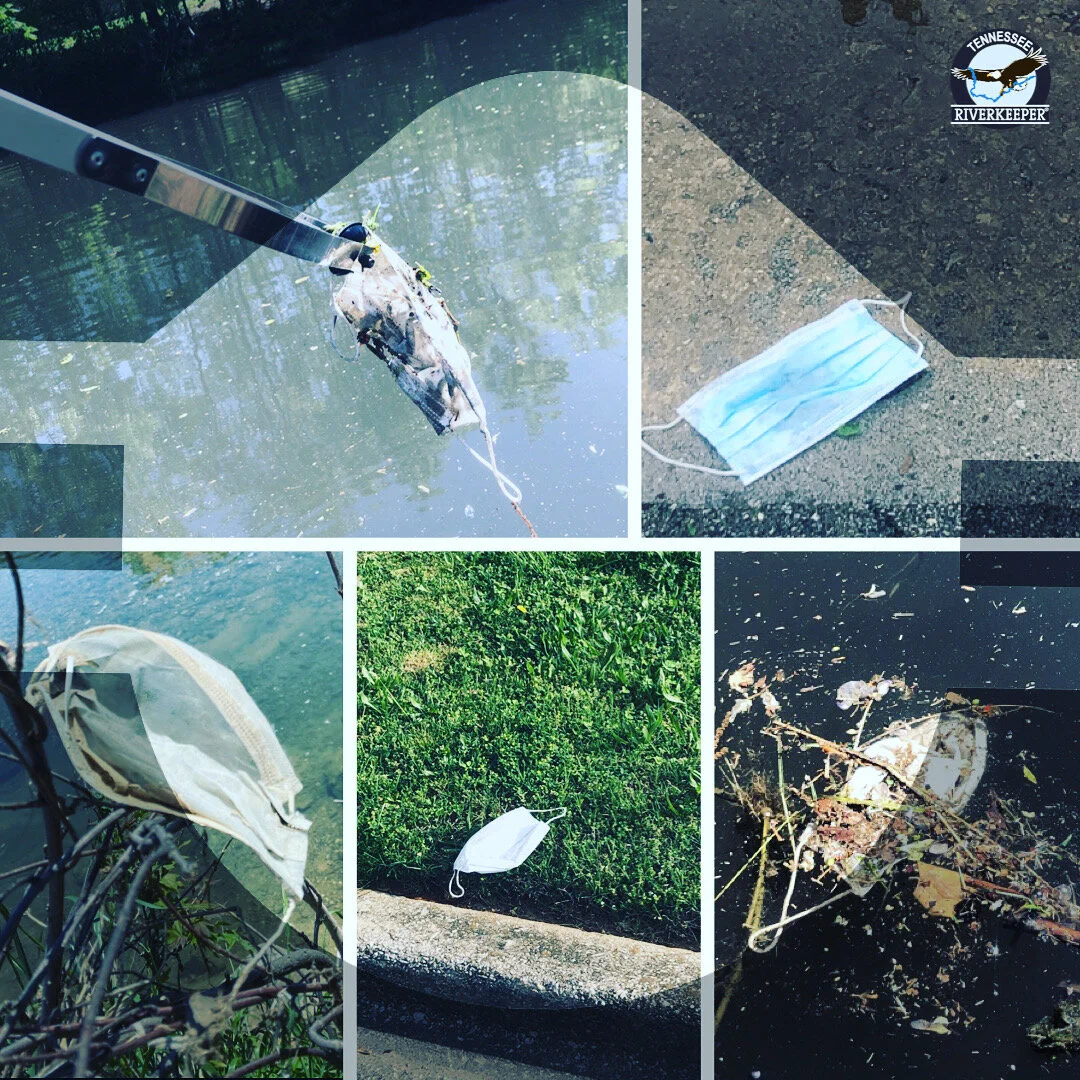 DISPOSABLE FACE MASKS: A NEW ENVIRONMENTAL POLLUTANT