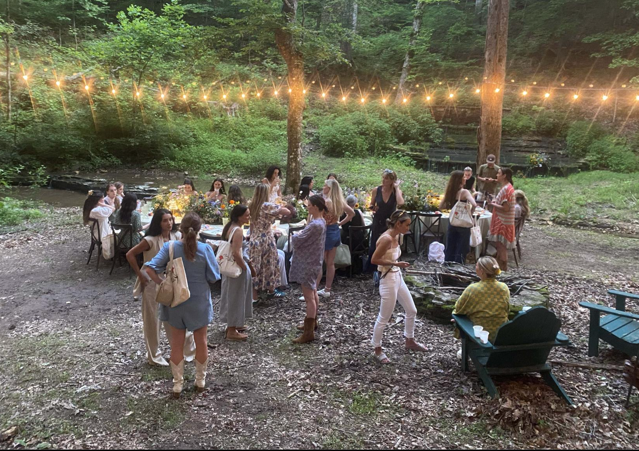 Check Out Our Summer Newsletter!