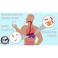 Sampling for Microplastics — Microplastics&nbsp;Program Update – part 1 of 2