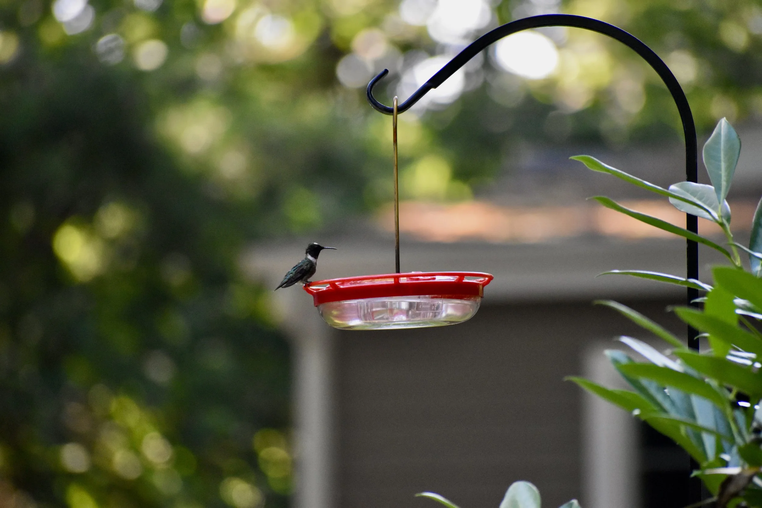 What Will You Be Remembered By?